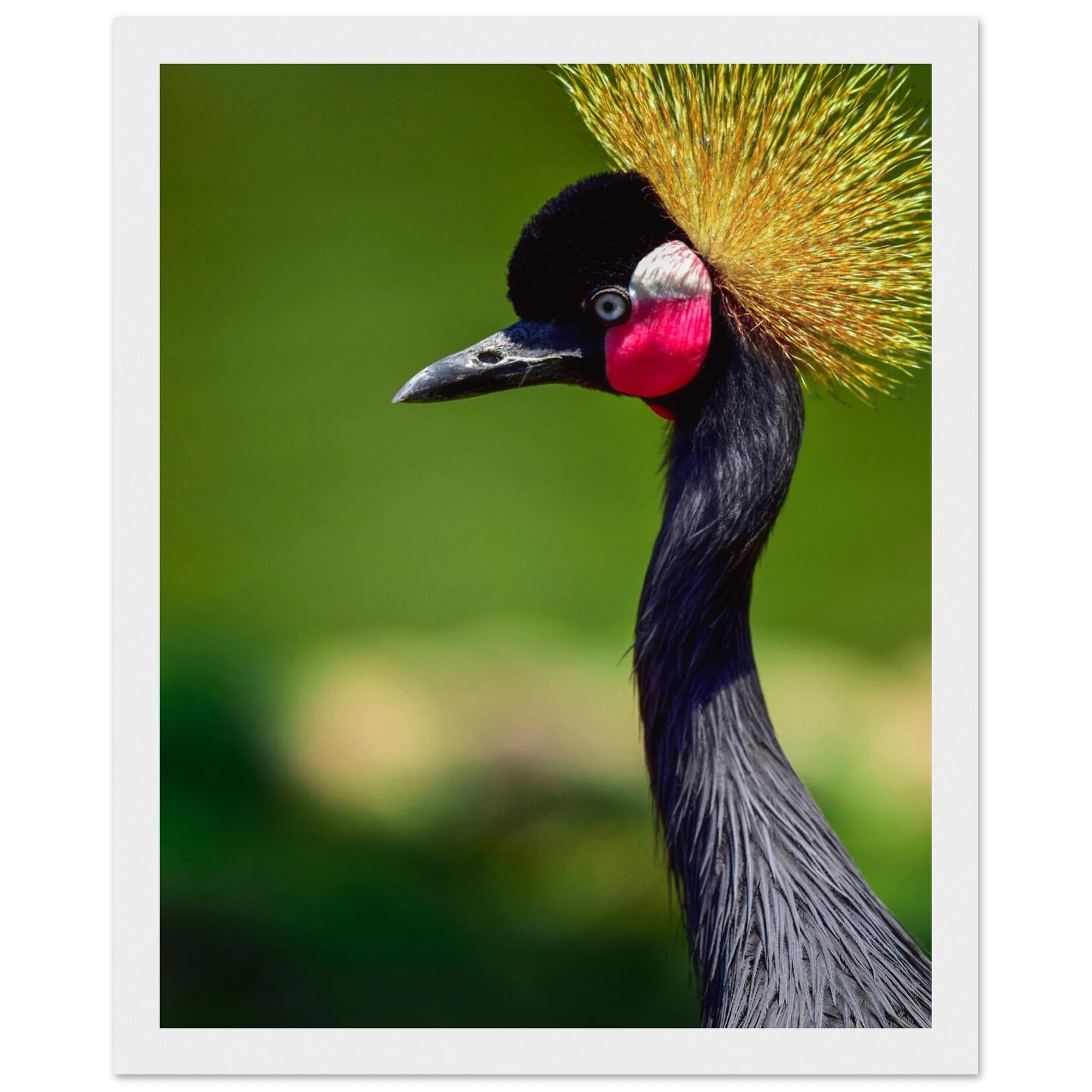 004bdc64-df42-43b5-a6f4-005c168270c8