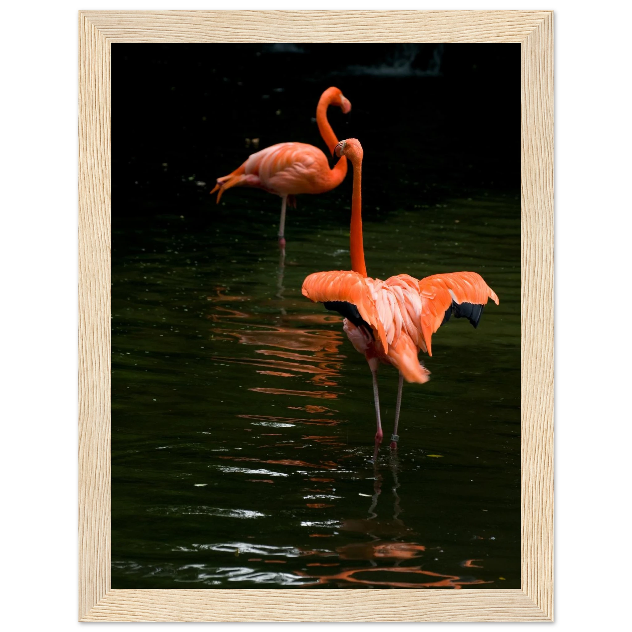 00552622-421d-4761-aaef-99c58cbd9b22