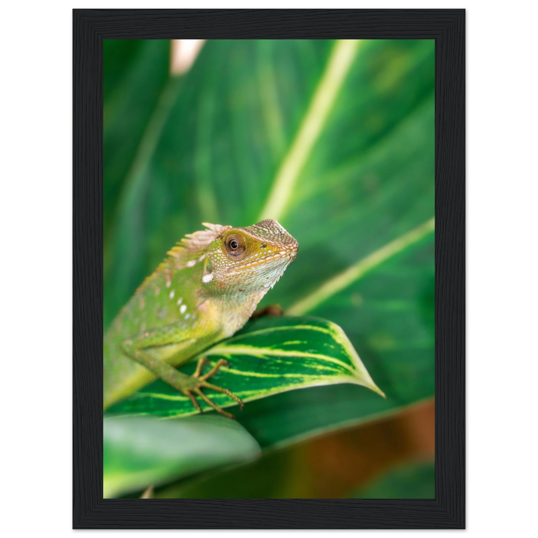 006c9b8a-10c0-44f4-8a5d-658d353f55b0