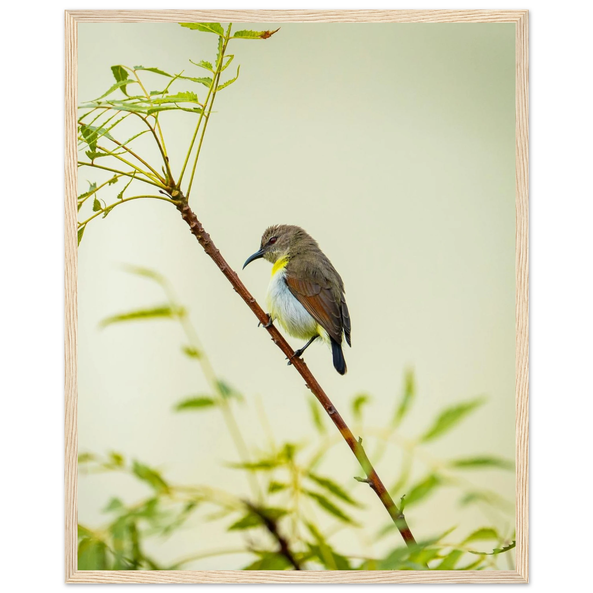 00795703-aca6-401e-8c90-a0722bce373e