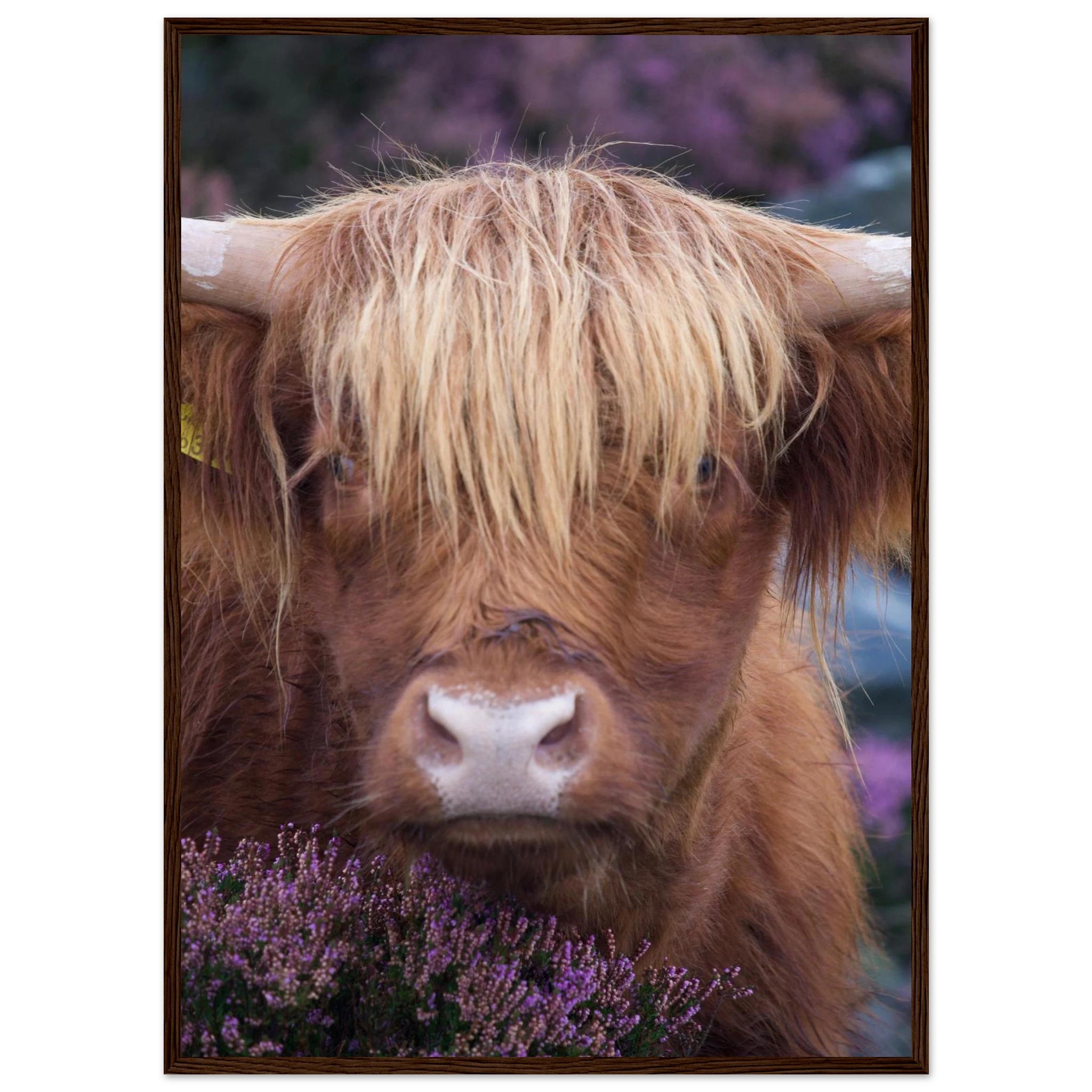 007a7830-a56c-4e83-aece-2527ec6ef993