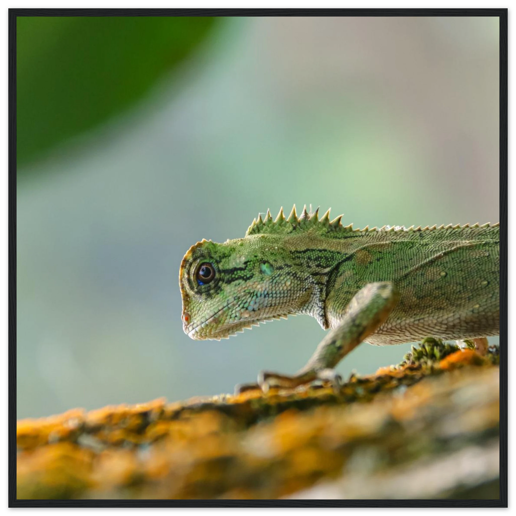 0084097f-046a-40e0-841b-d829130031fe