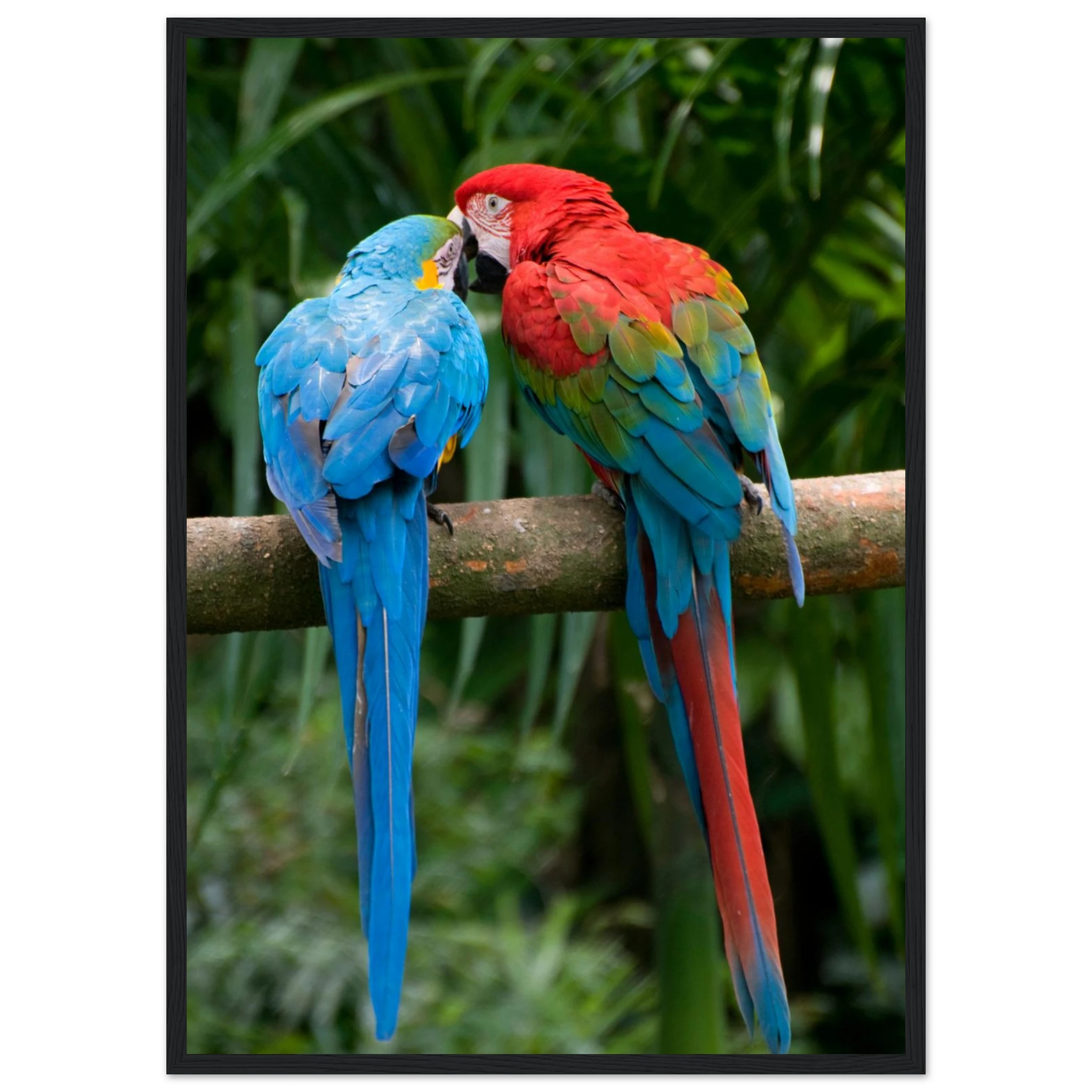 008d13ac-dcbf-4da3-95cb-7eb25441996c