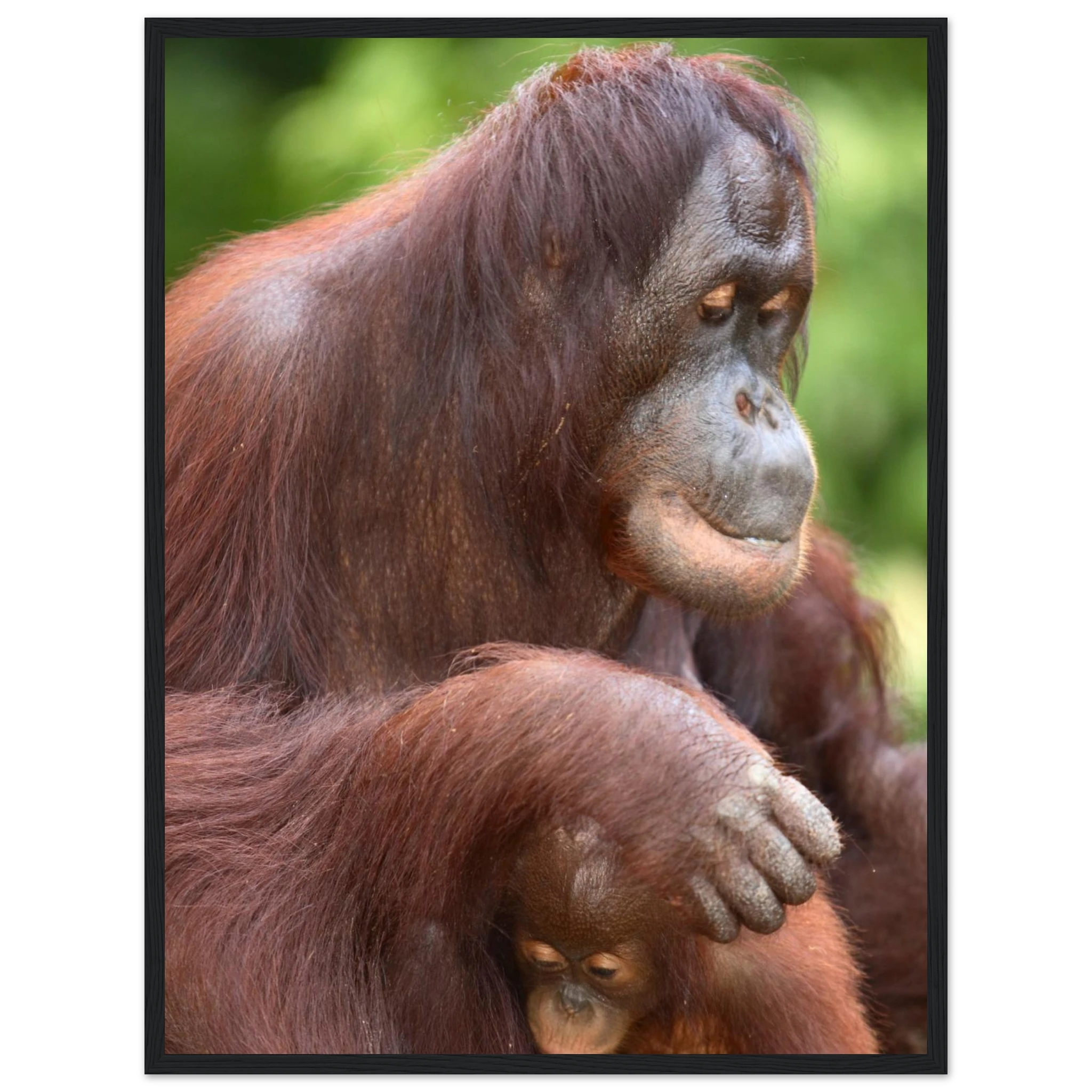 008ddd38-c6cd-4904-b45a-cdb0ade1f4f6