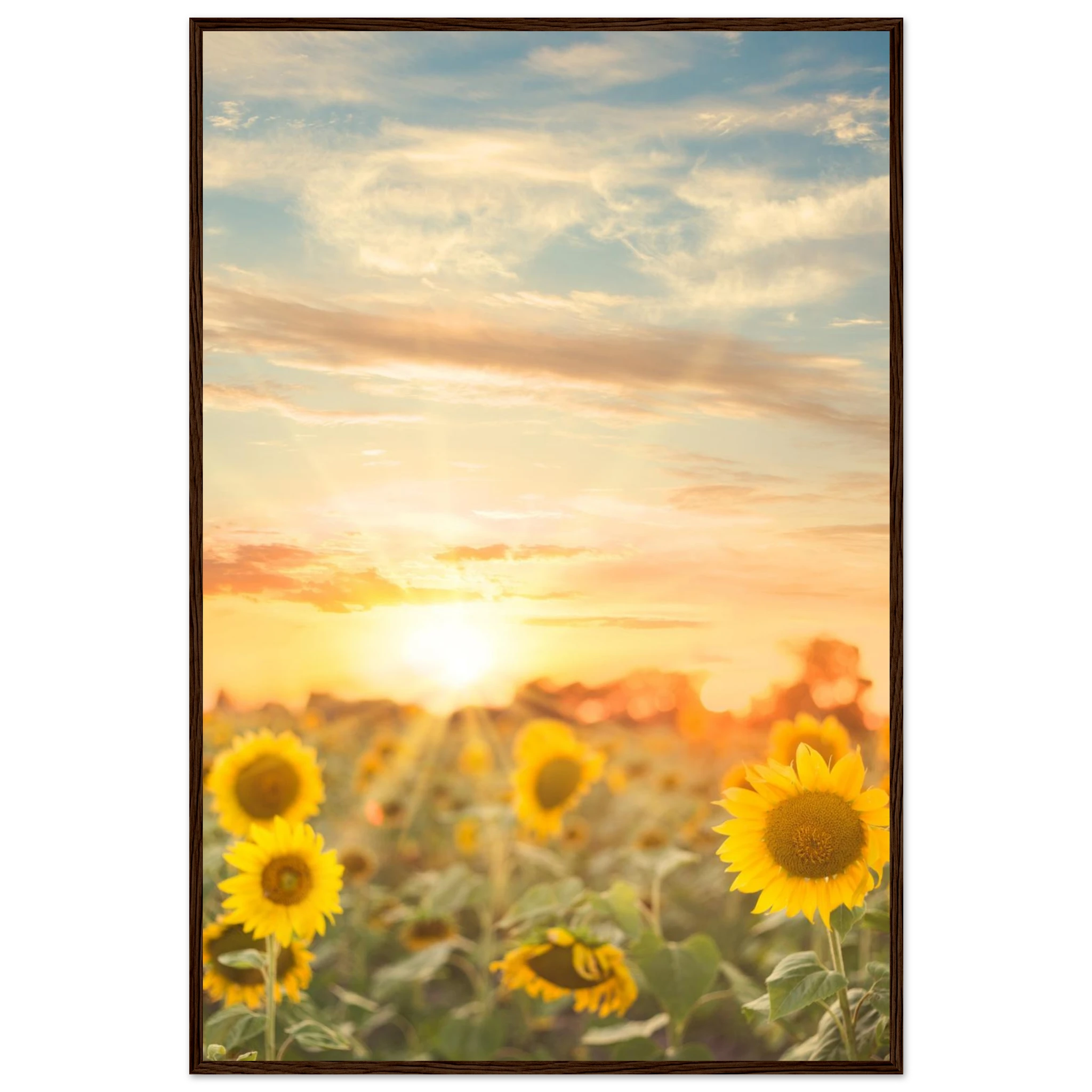 009adfbd-5171-42f5-8901-9f30c79d89f3