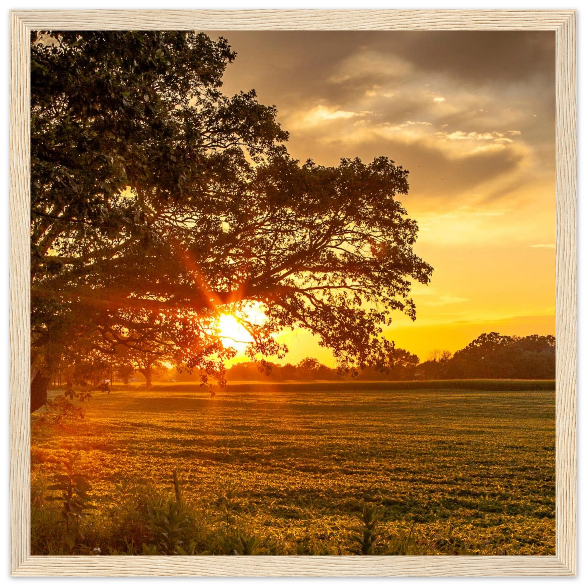 00deb420-f306-4601-b167-573d84ed36e9