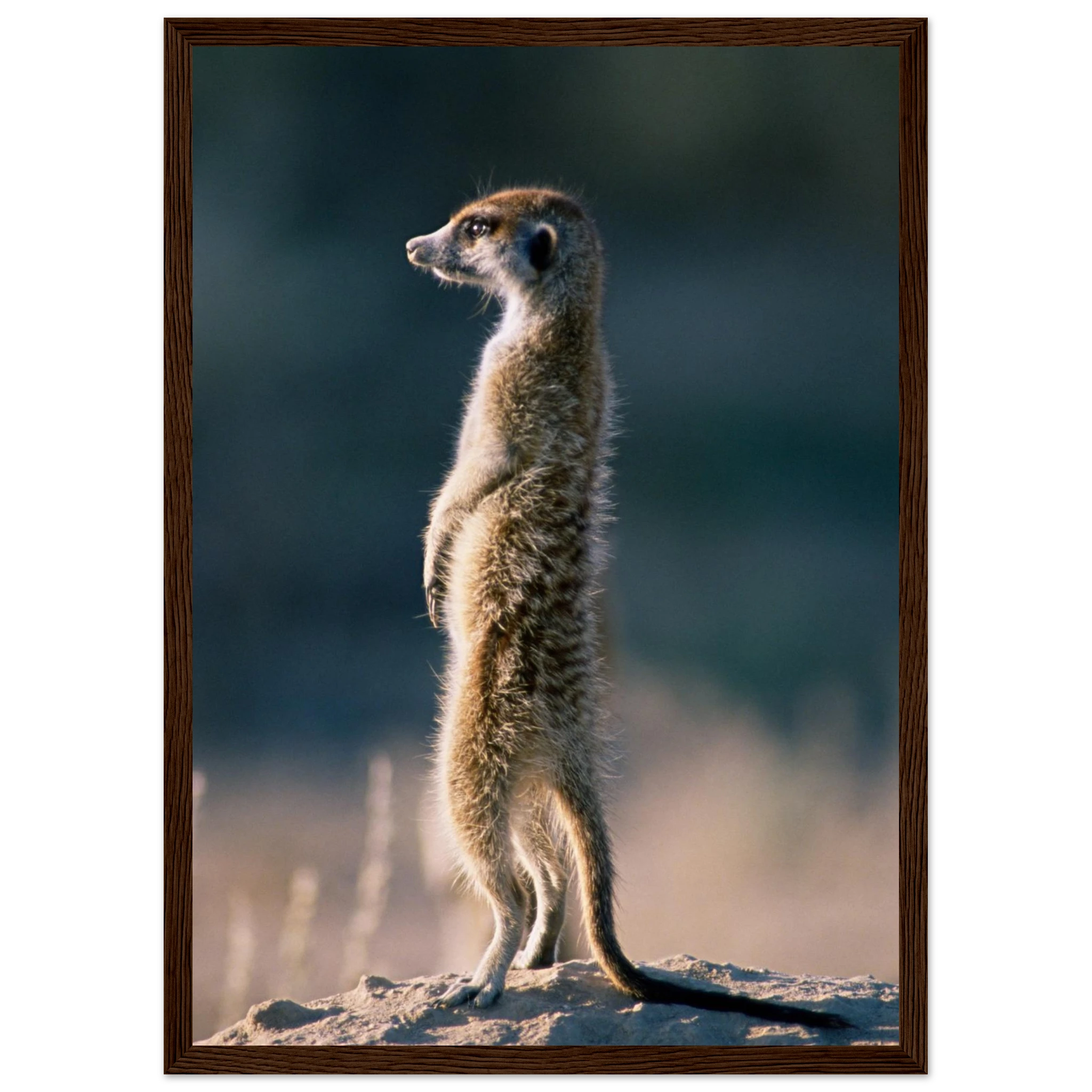 00f26df9-6ca3-44b2-8d95-daad8727033b