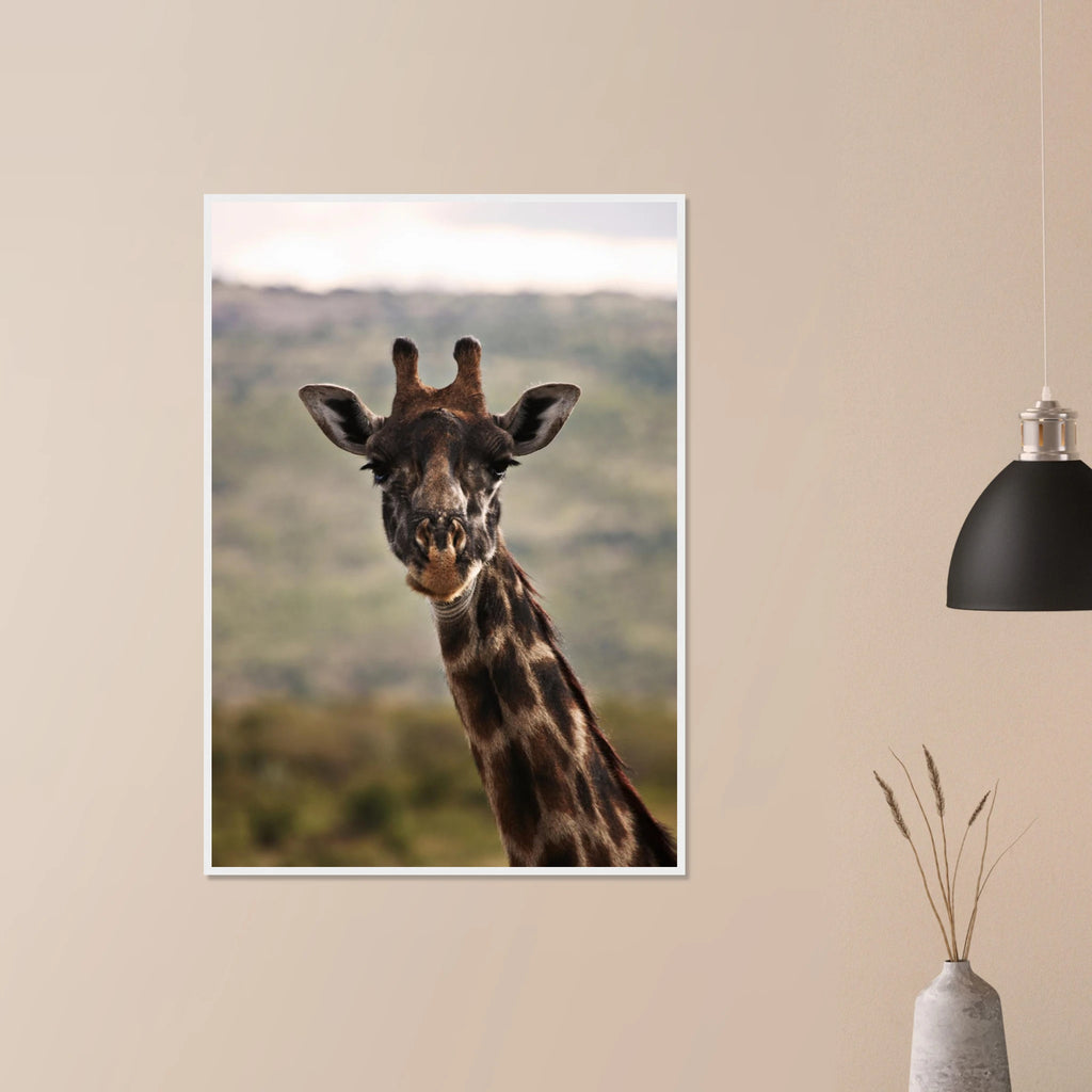 00f41bca-c23c-41b3-94ae-e9756065b23a