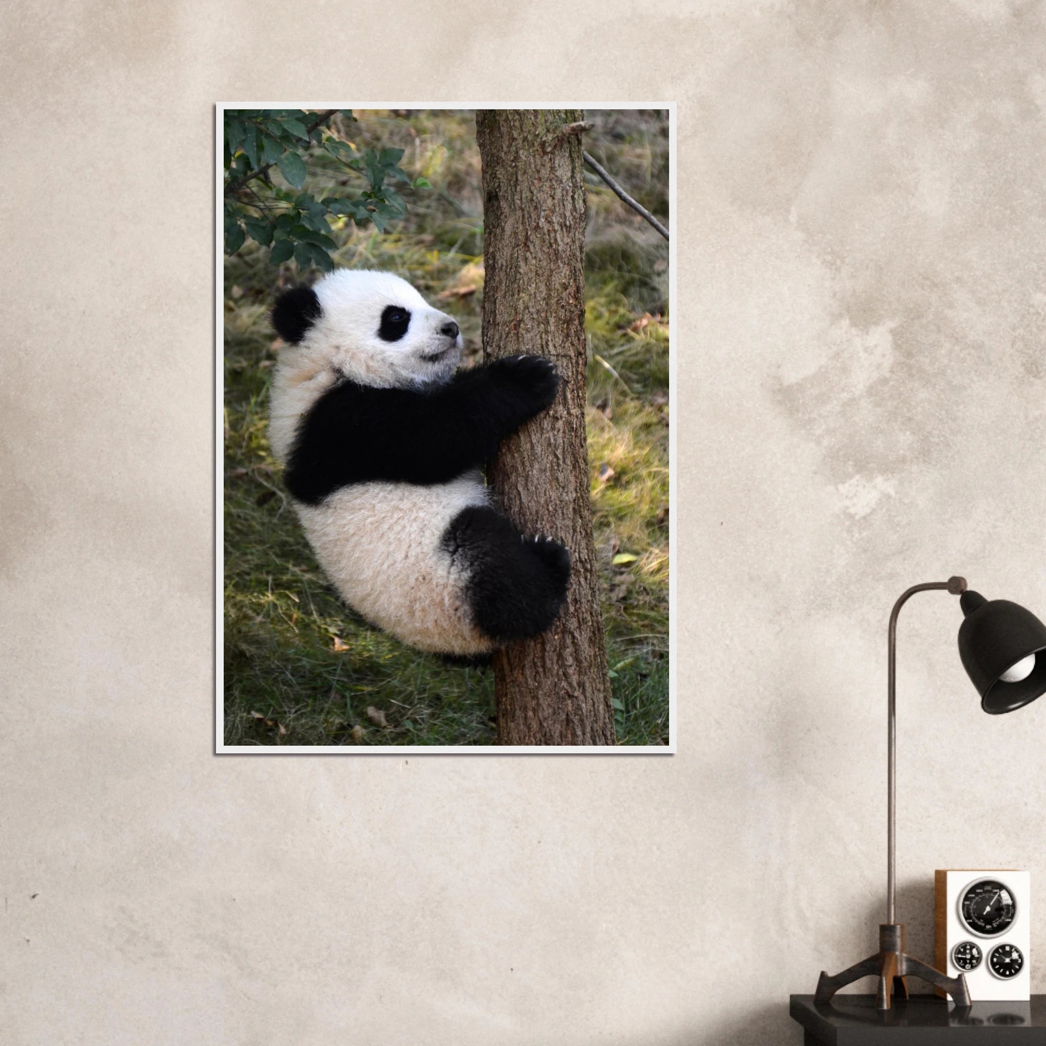 00f7cfd7-1603-4098-b766-9e59d50f0171