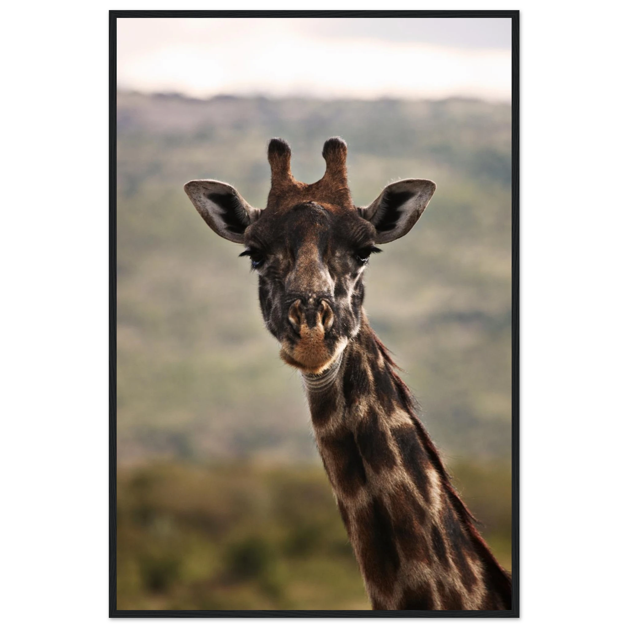 010aaf15-b45e-437e-9870-059b85e2bd6c