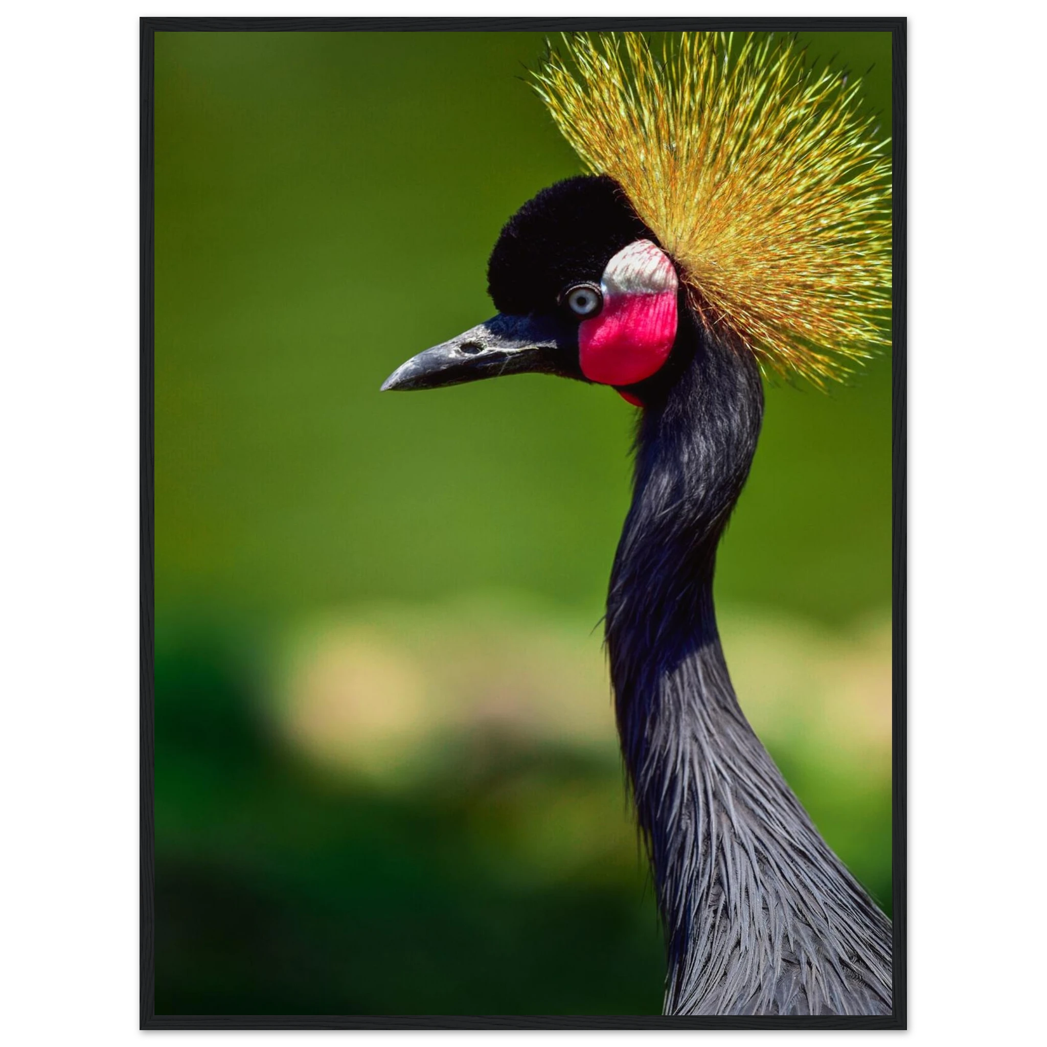 010f3e30-8f7b-46bf-82a3-c86984fa1f8d