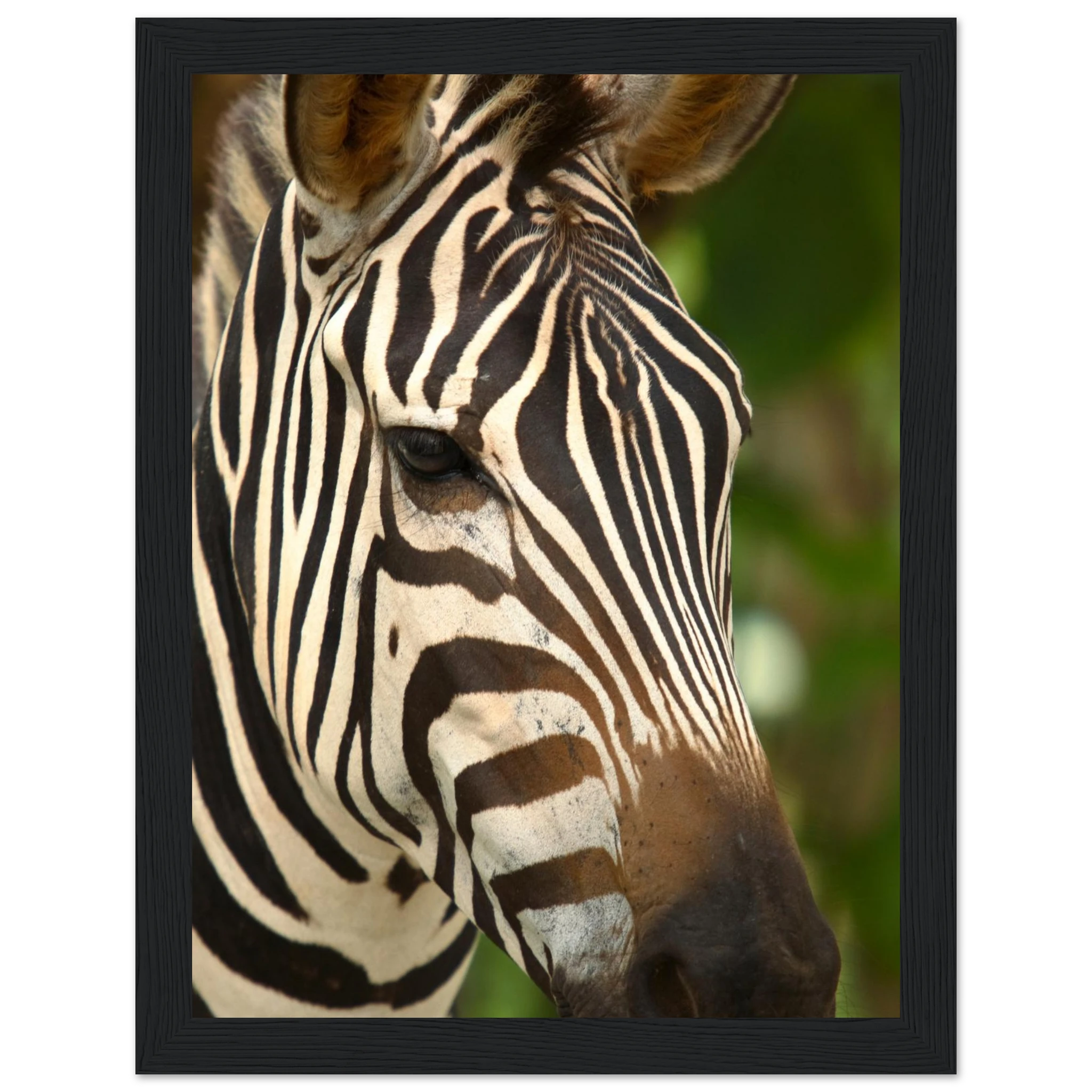 0114cc41-697f-491f-8852-09d323180748