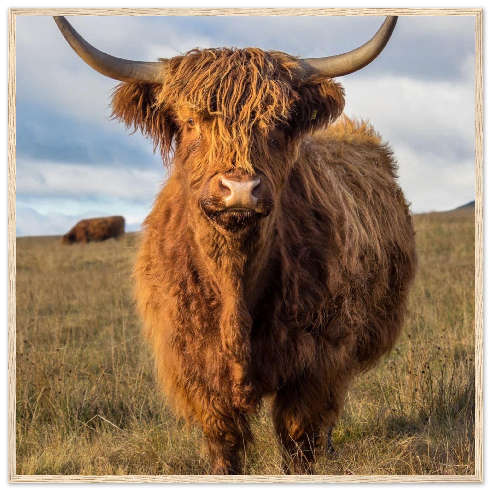 012a42ee-573d-4a11-8c7b-bef69d1377c8