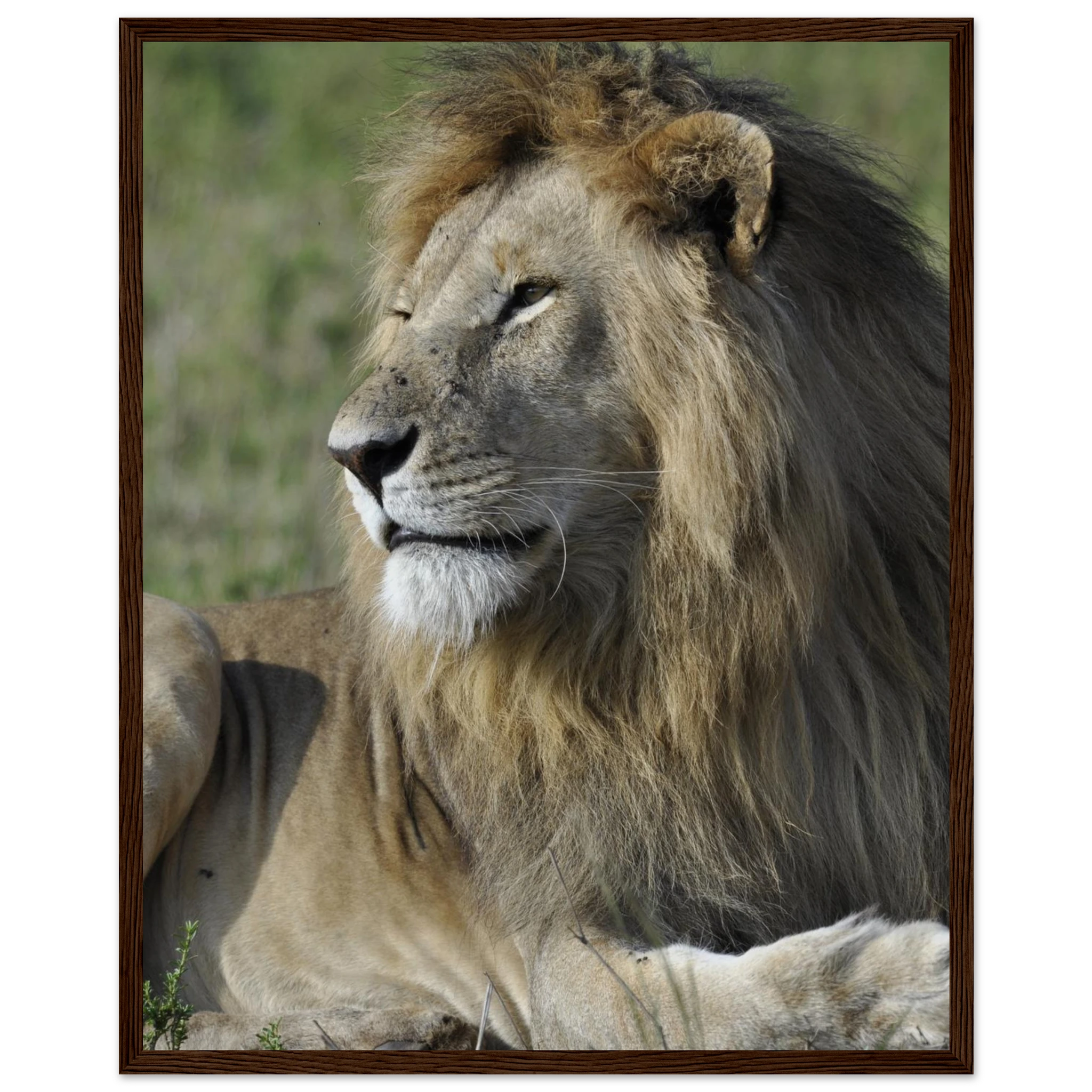 01530441-de09-4621-a43e-2ca353e38363