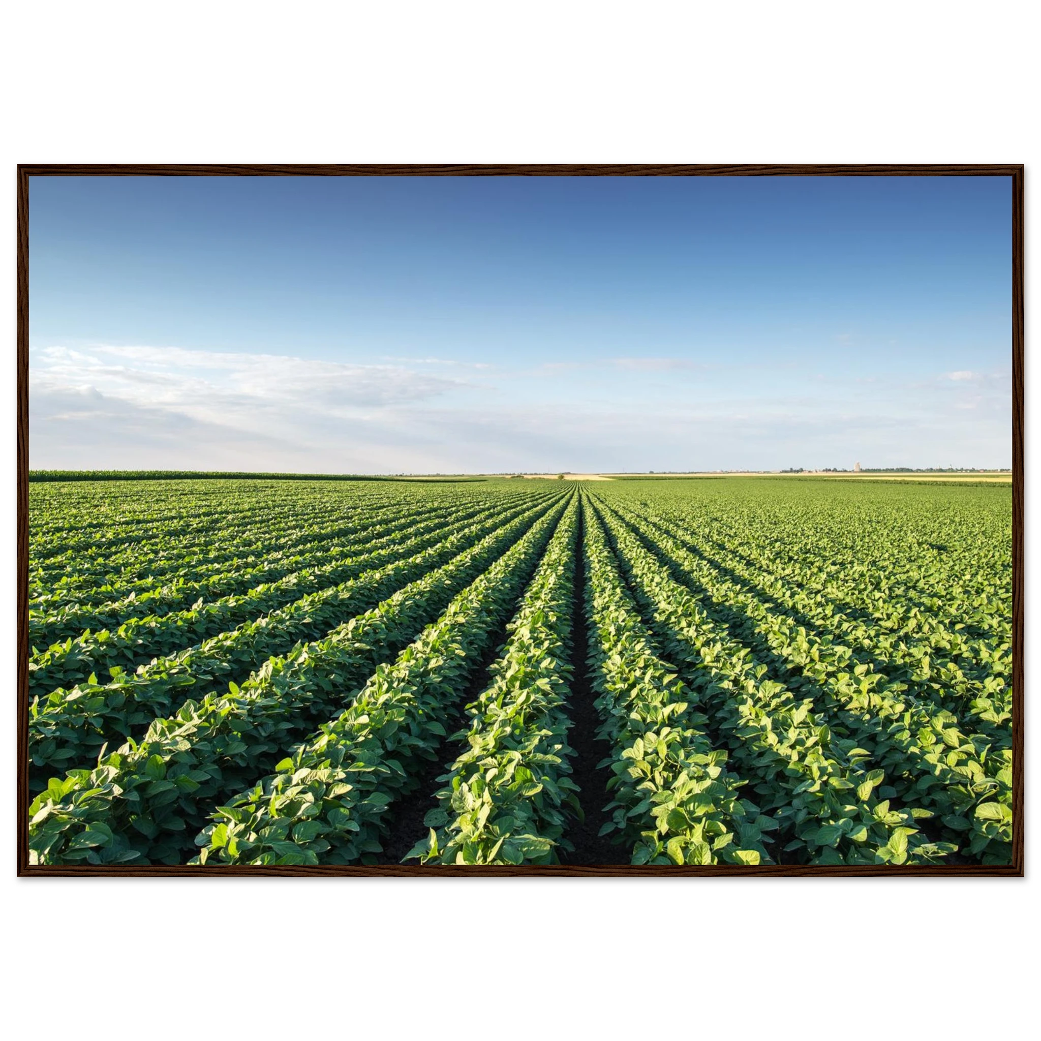 0159a91a-209c-4958-953f-a15ecf5b0f3a