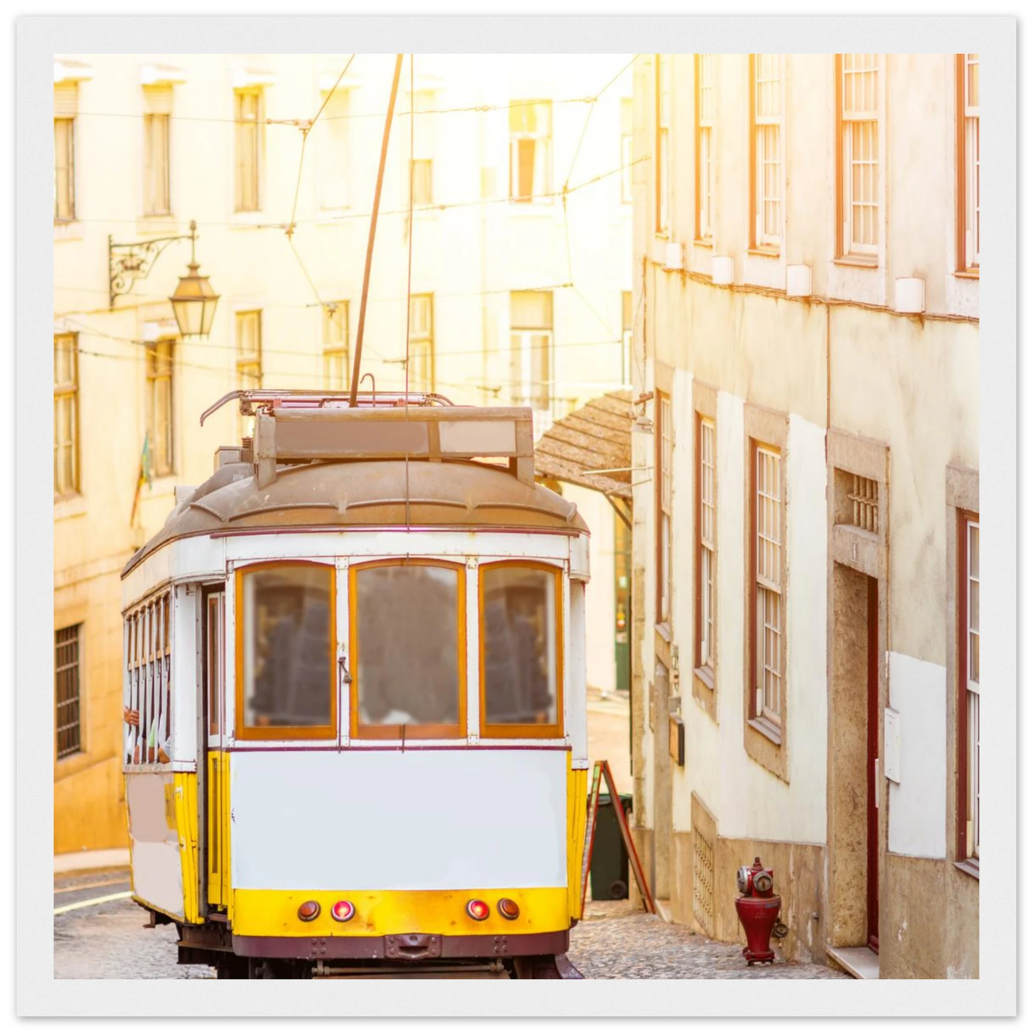 01678ef1-00d3-4d92-81e7-cbdd7de23f23