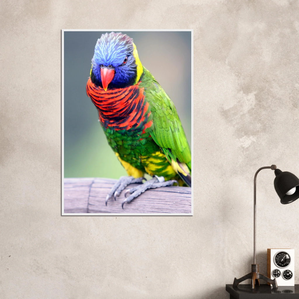 017bfc4c-a0e0-4fc2-b091-a959e8056101