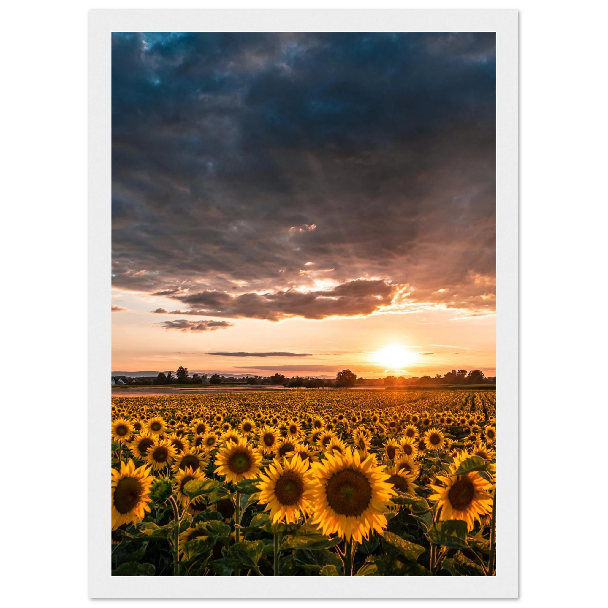 018bea26-6b1e-4355-8232-96e8235a0a8b