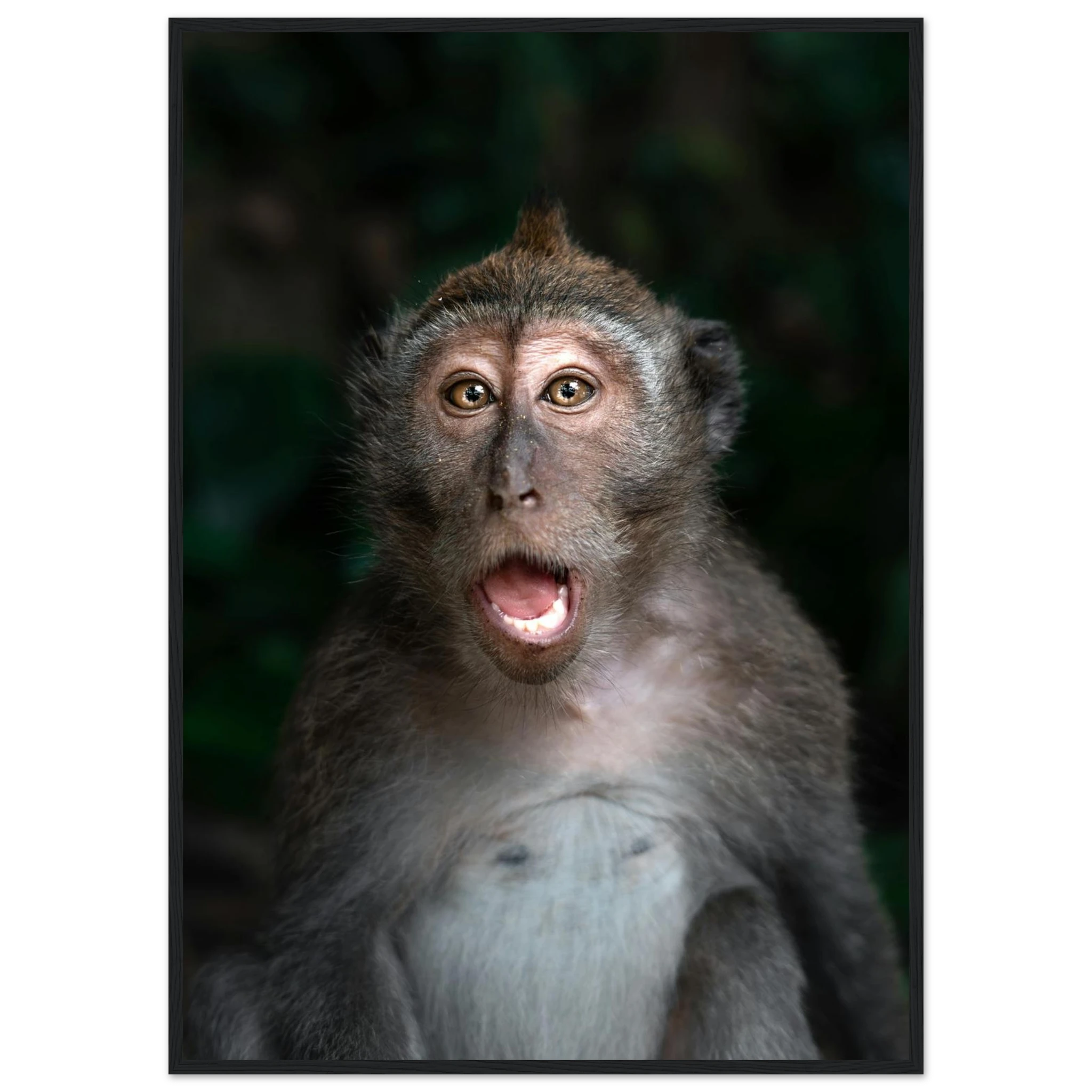 01905ba7-92b5-42a9-a13c-b73067b4545b