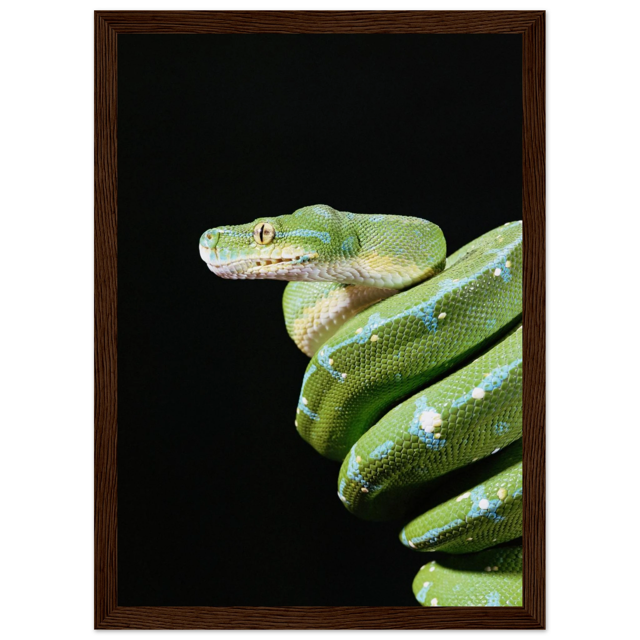 019e21e0-29b3-4f02-a9e2-6581474f3b1f