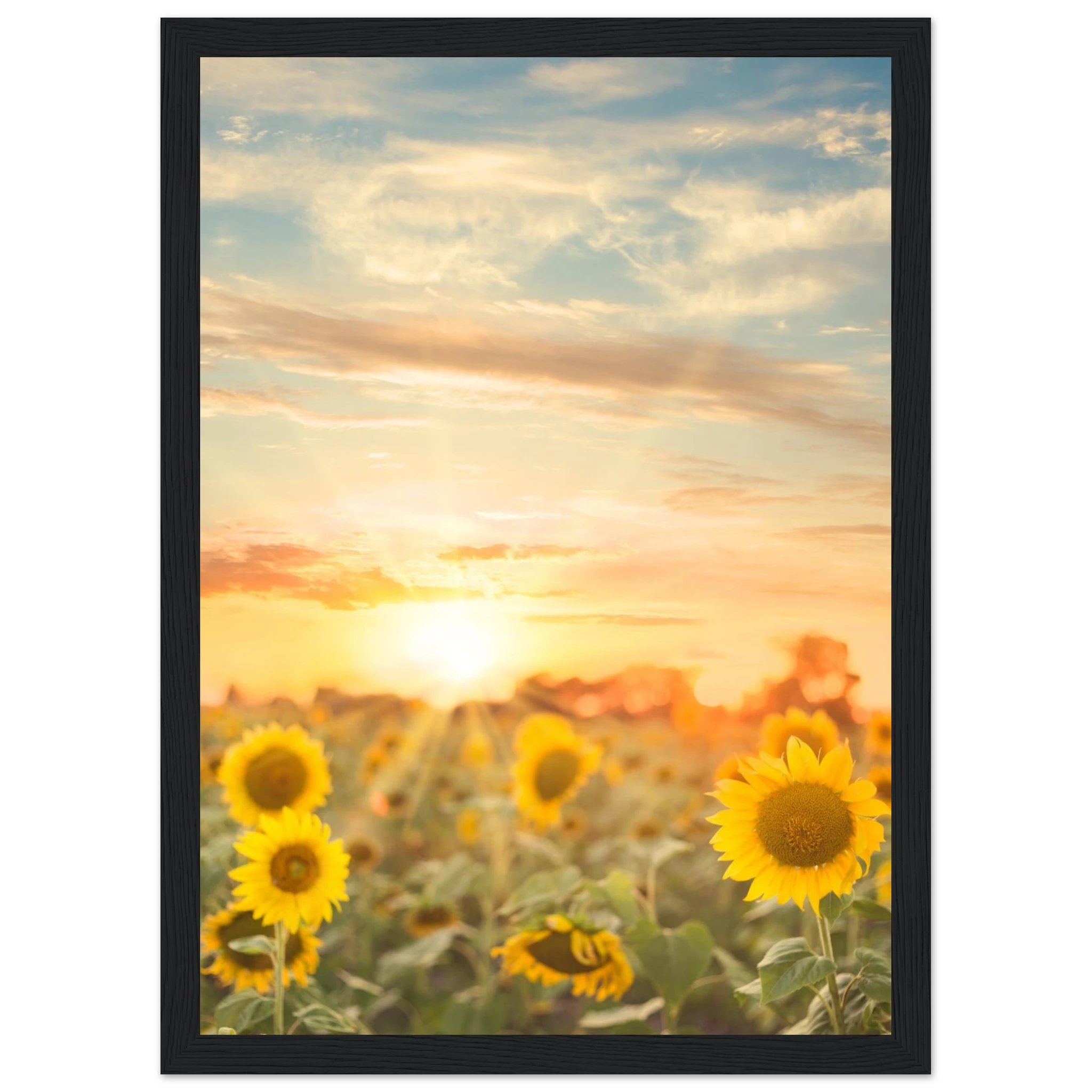 01a4bef0-c1f5-4c30-8d39-d5d25a5f9e01