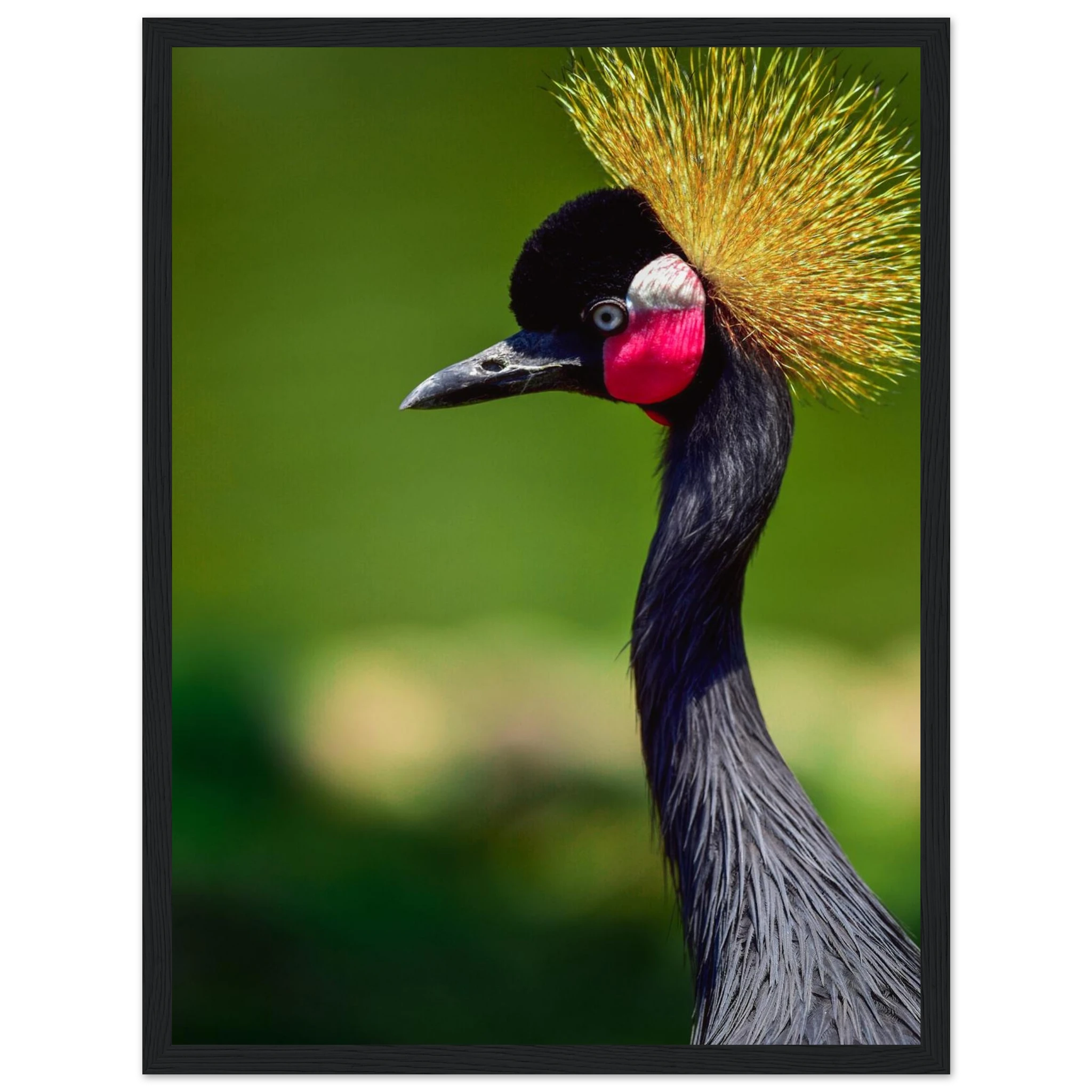 01b793a7-bac3-474e-bde4-d725b5e2a556