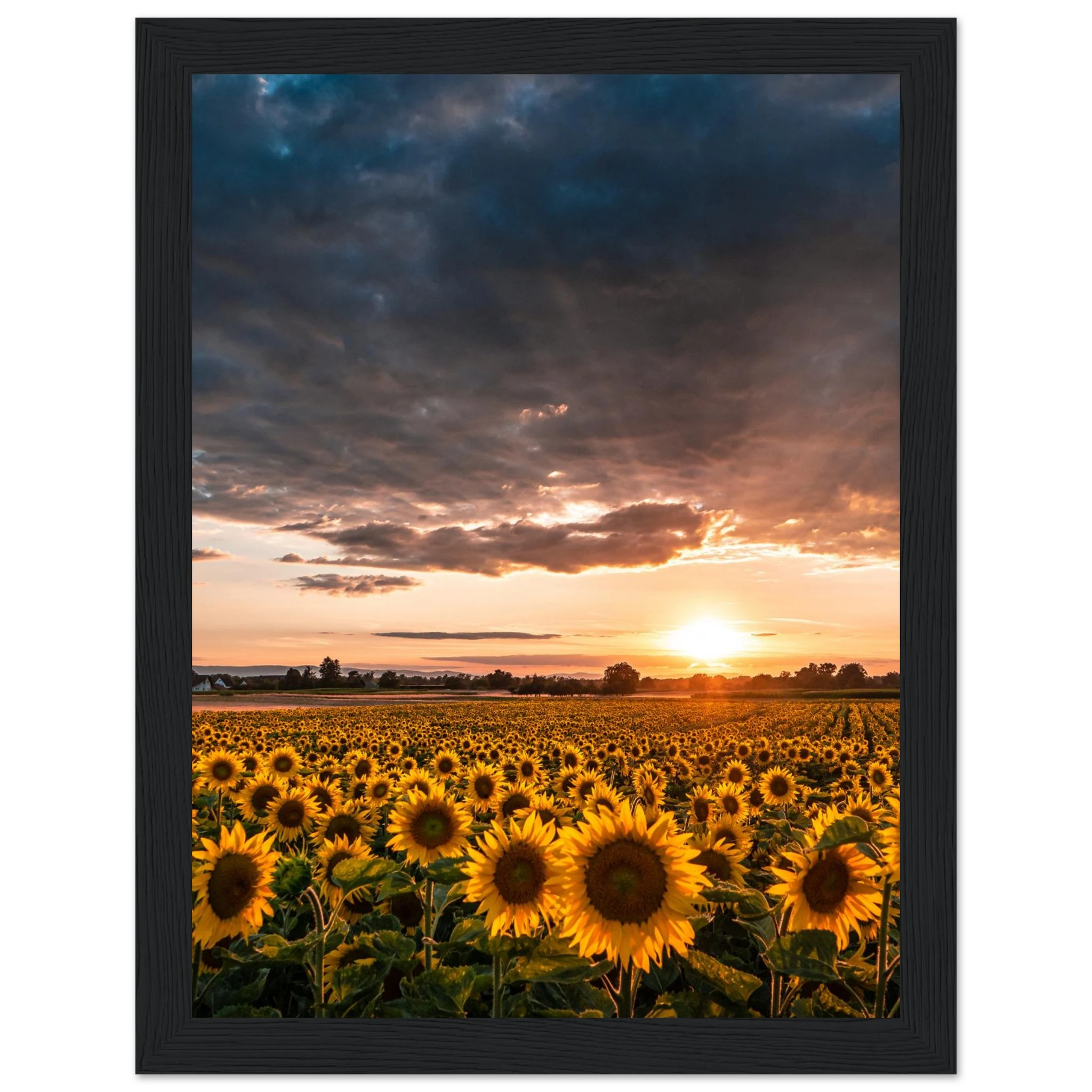 01c4a724-52d6-434f-8104-b9a43aa19ec3