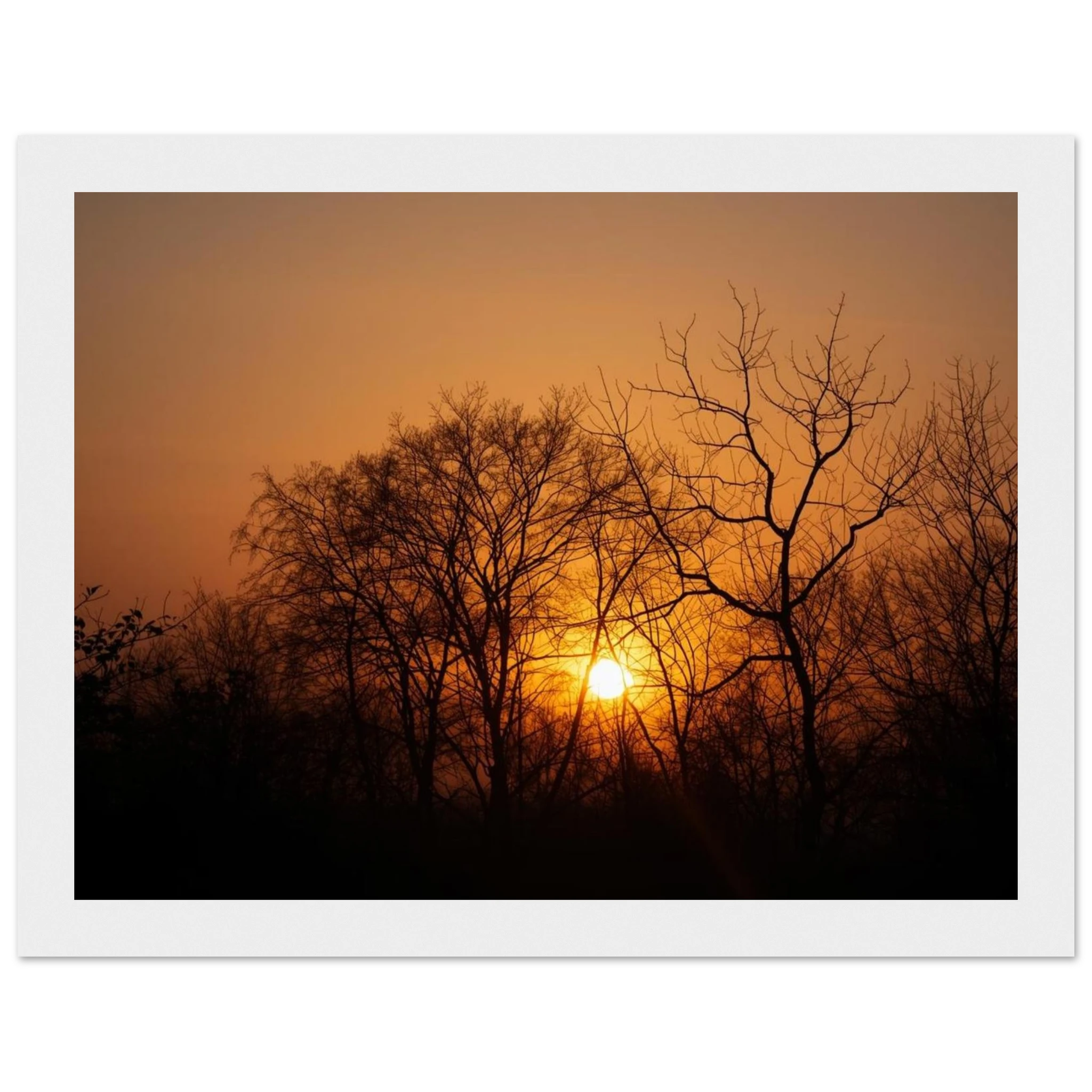 01ca4598-a44a-4618-9337-b66b8bbebed5