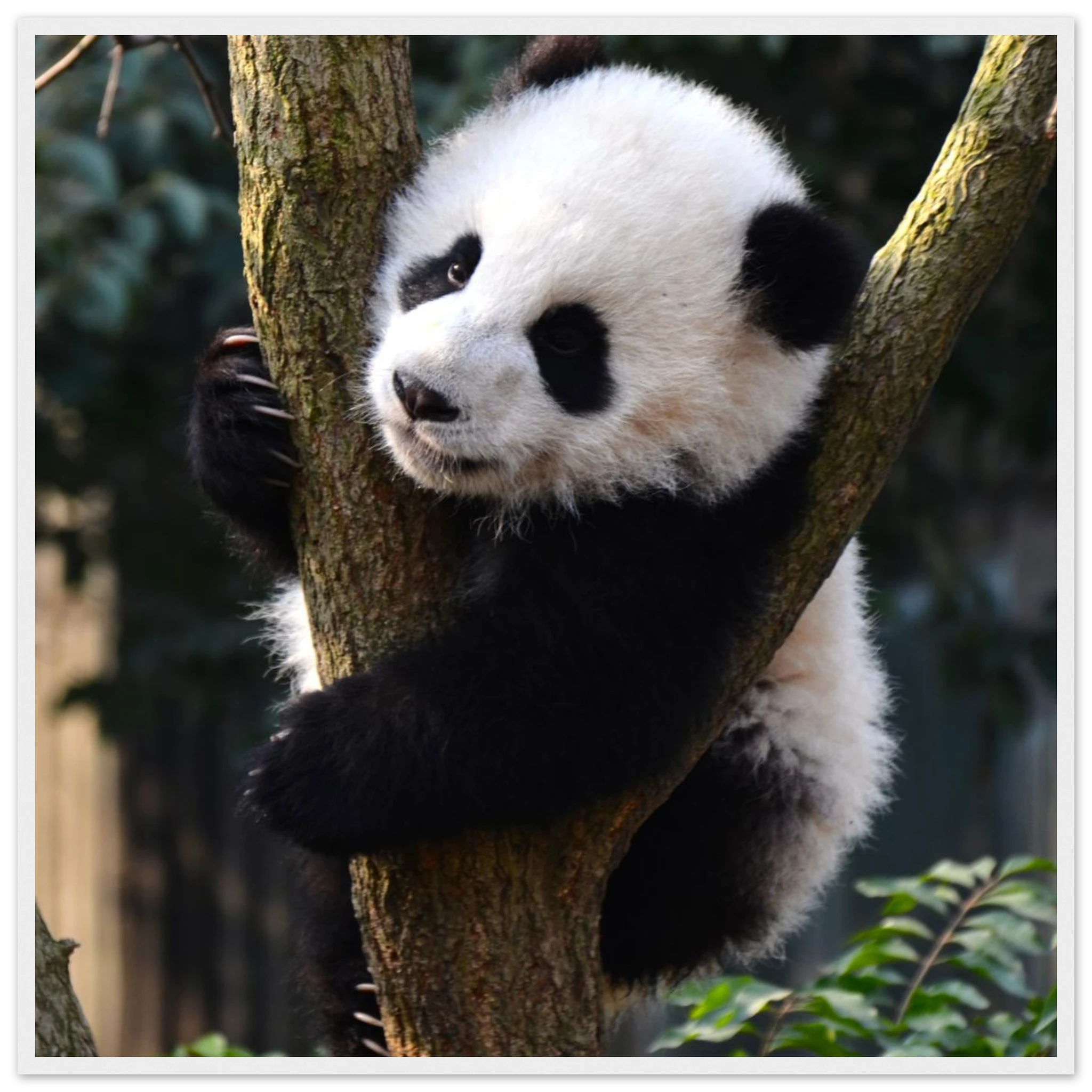 01d1d7cc-4bc4-4438-9fe3-19875e522db6