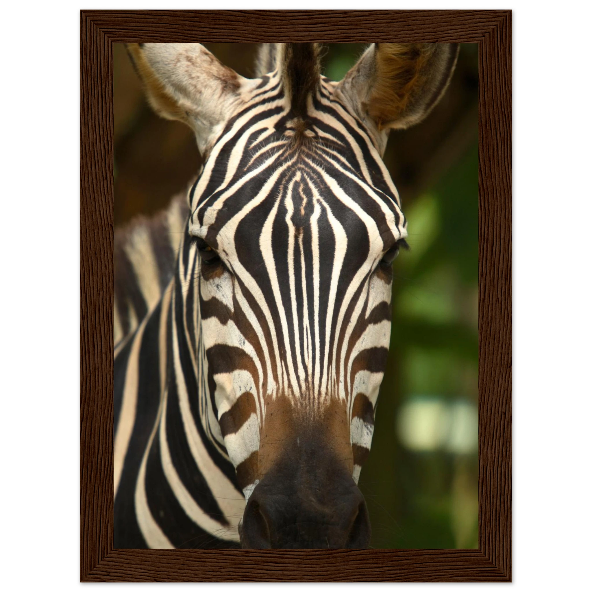 01da9bfc-174e-4623-afa0-71b6d88ffa0c