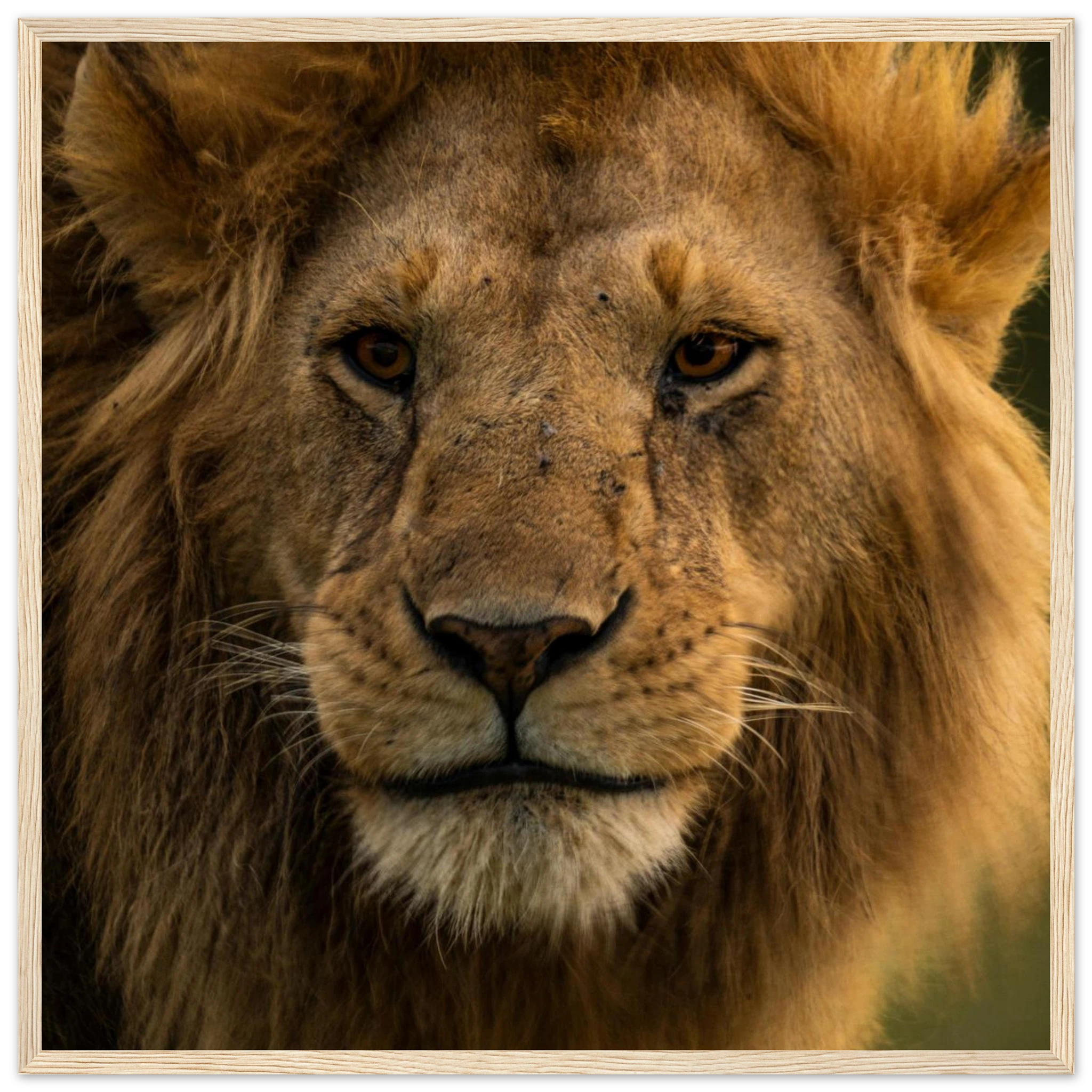 01e0341b-18df-4396-8105-18f27cacdccf