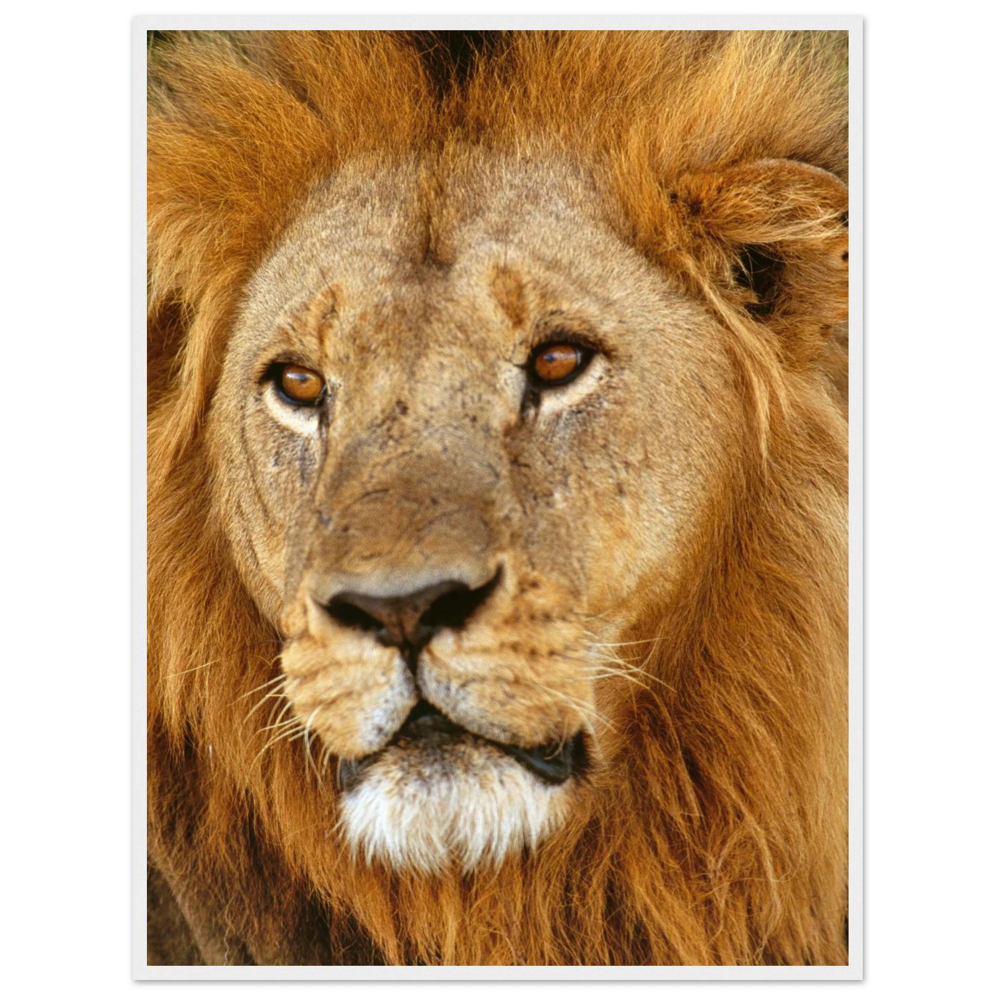 023282df-7526-4a83-be15-419a7f747181