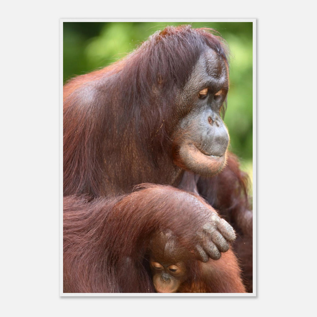 023b11b1-fba5-44c1-8008-a3953aa8a40a