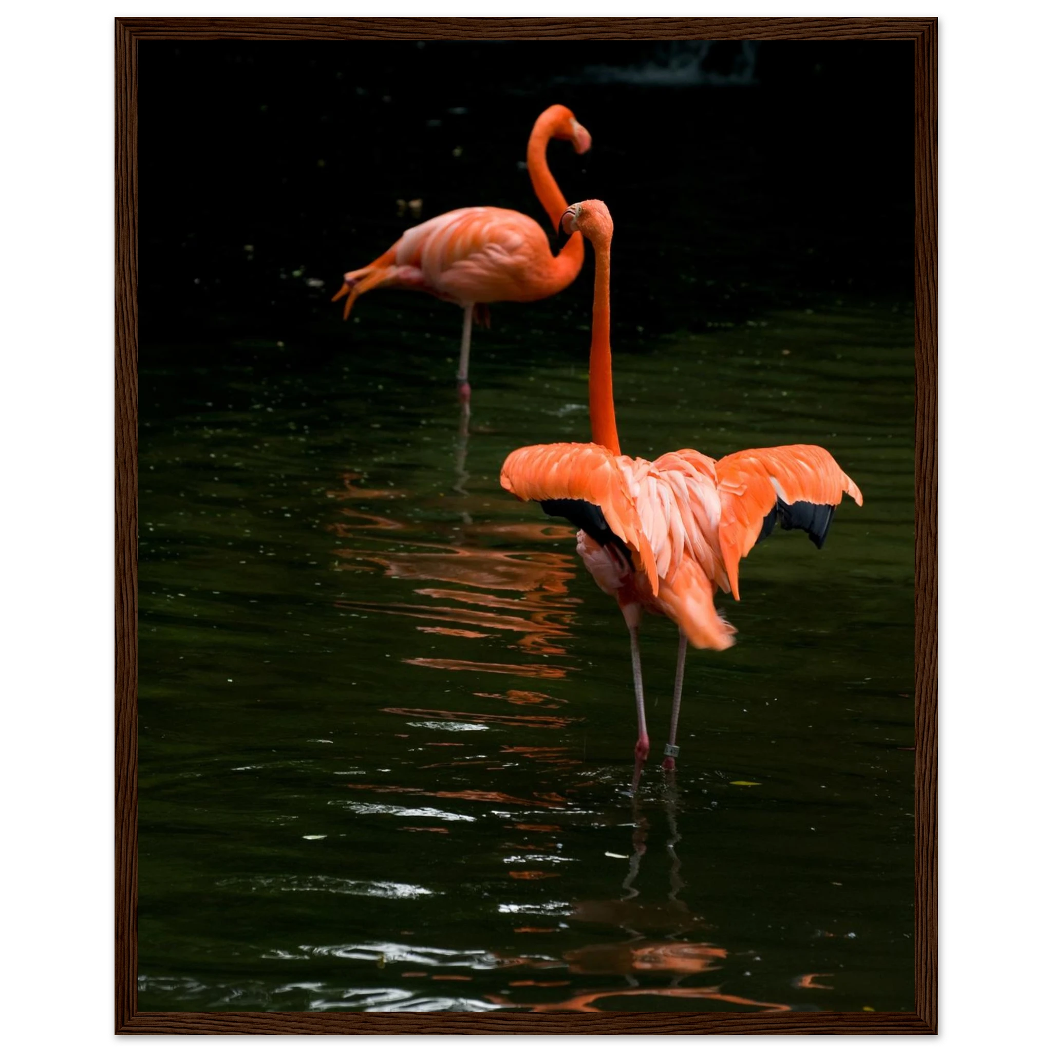 0244af79-155d-4c89-a018-67fe63bc8859