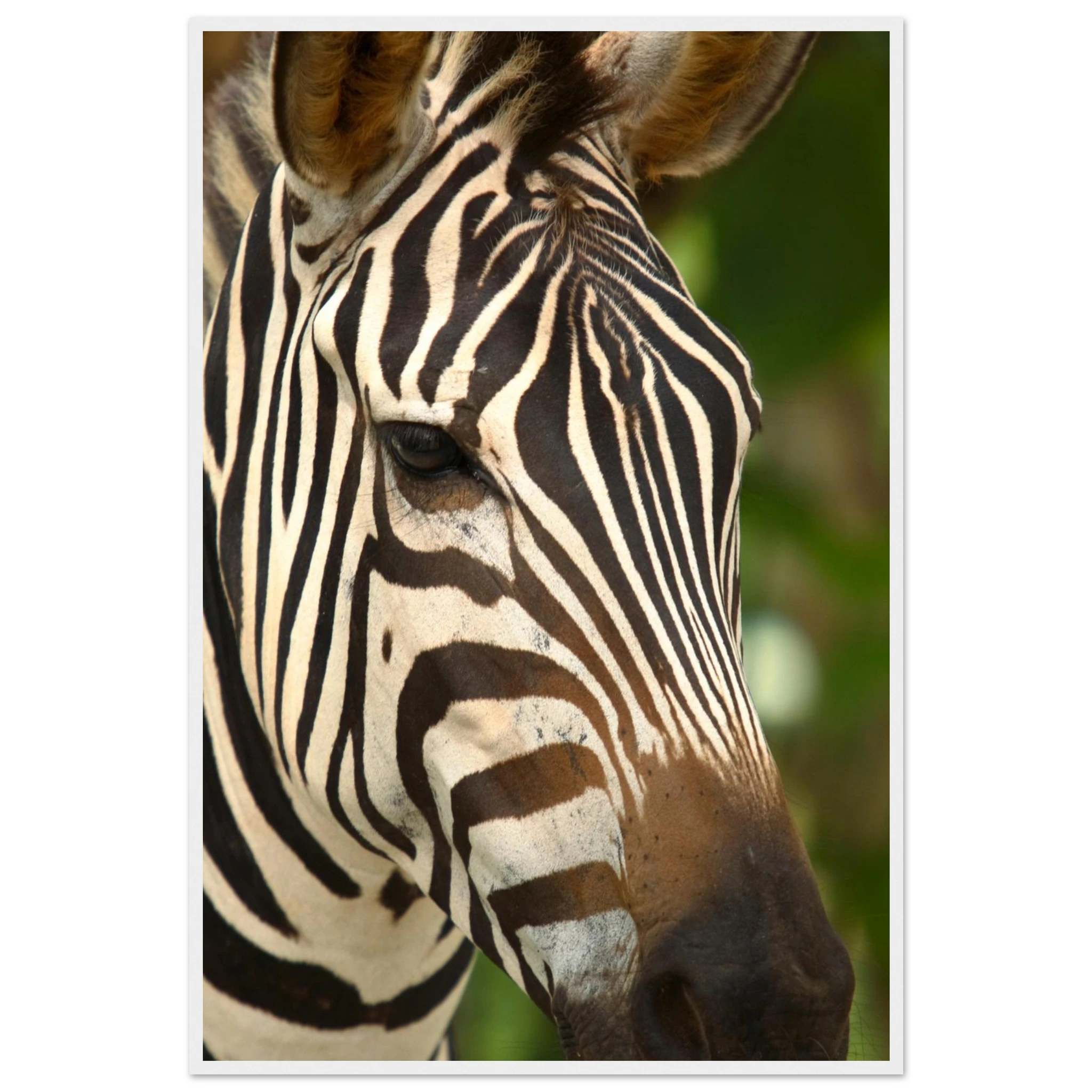 0273e04f-4d1f-4007-94dd-7b387167cf20