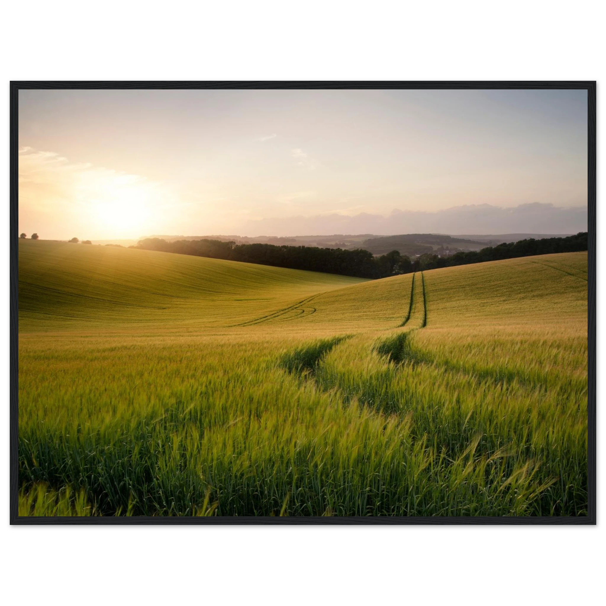 02878c82-6dfb-4afc-988e-becf7a7f4f0c