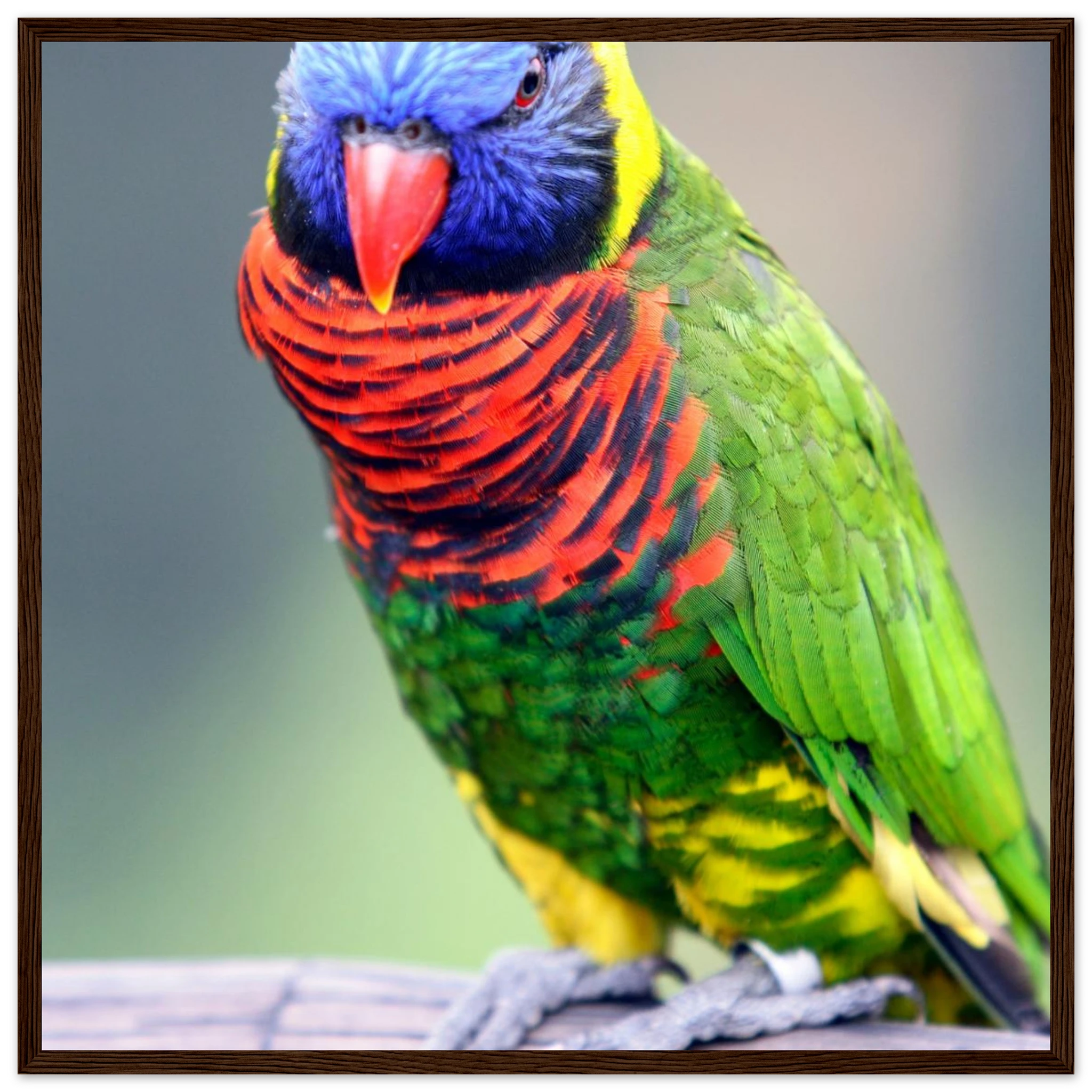 0289d1ce-afde-4026-b899-827054e84fe9