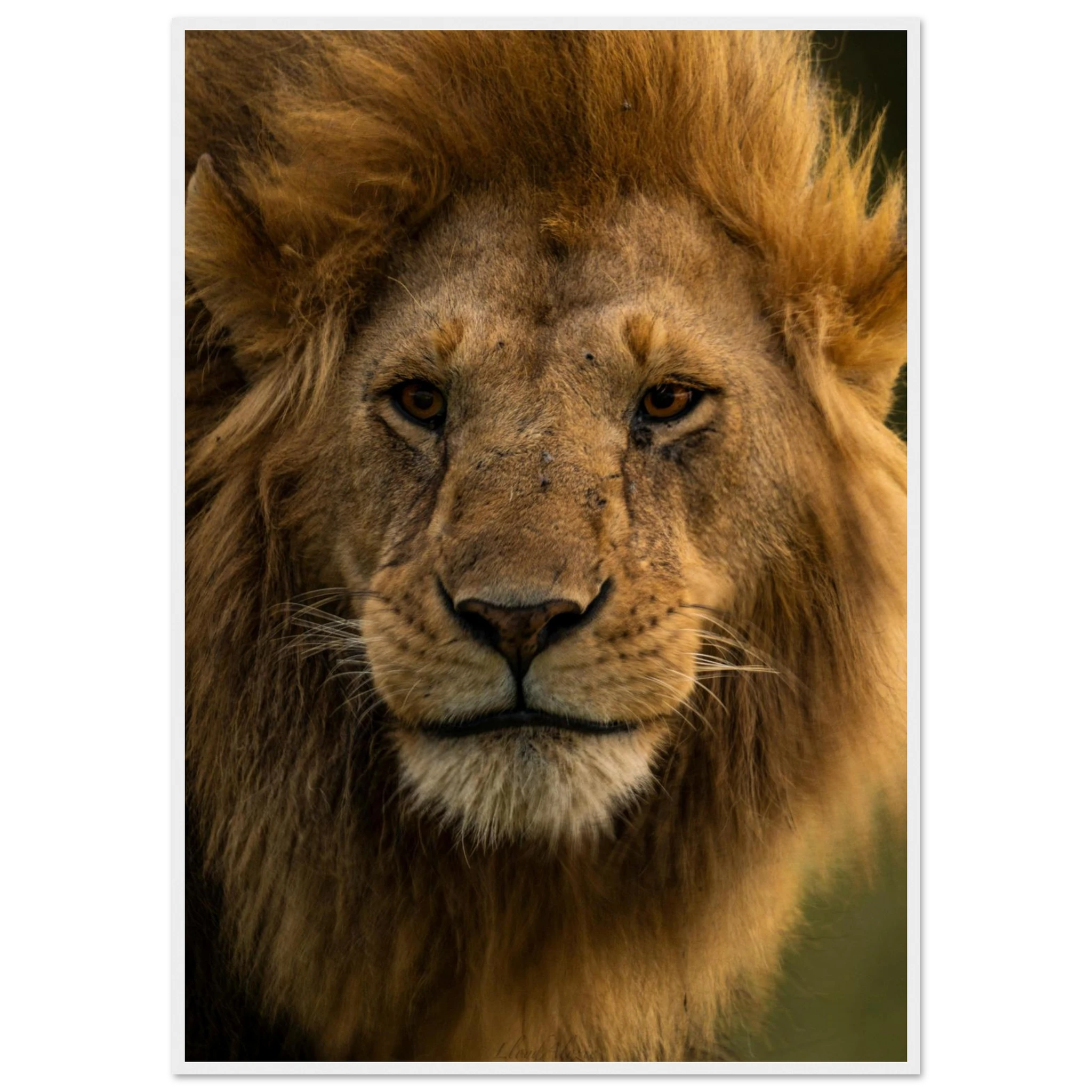 02aa3c9c-55ac-4c3d-8703-21234c8f8e23