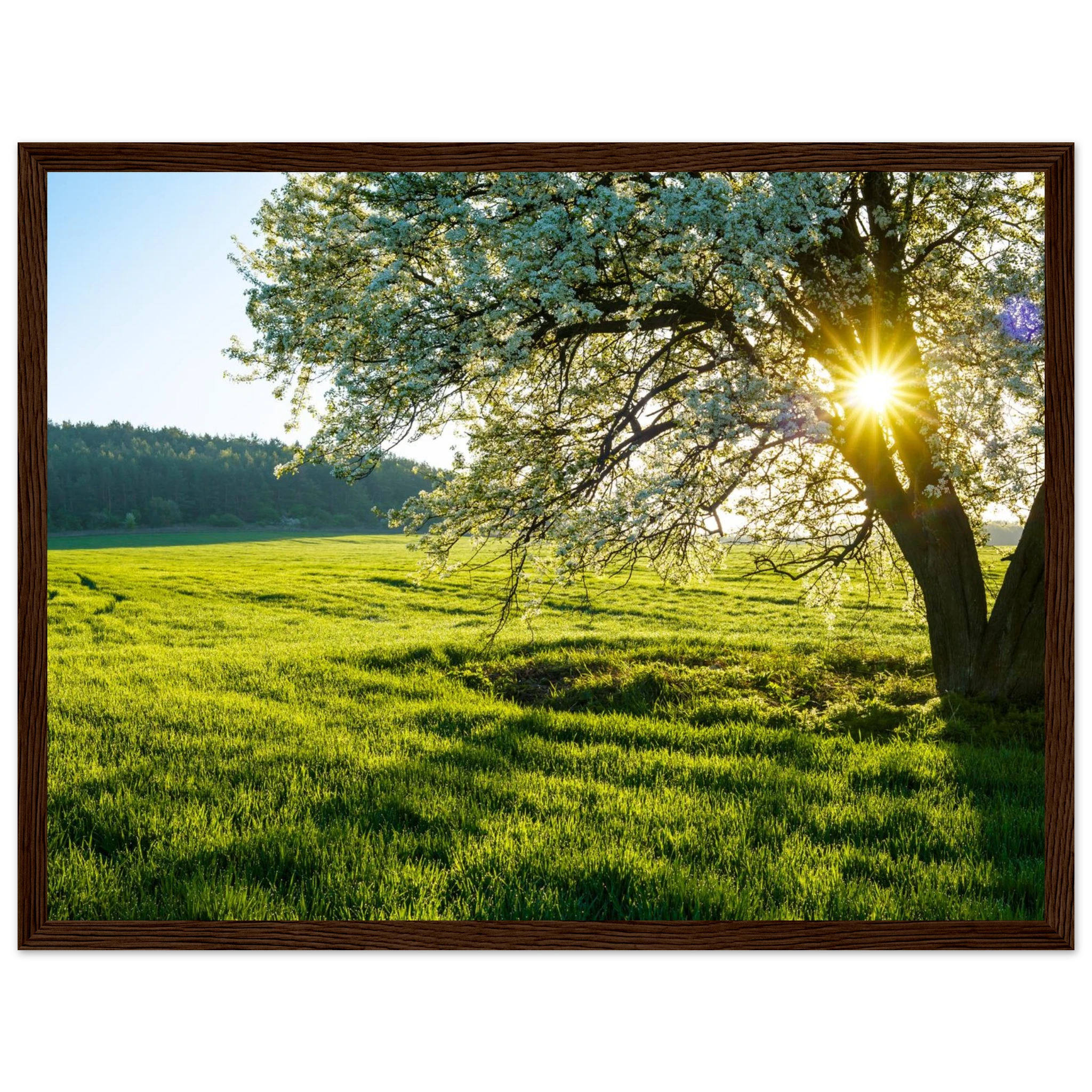 02ab437f-6706-4c26-b953-1a1a7e60df96