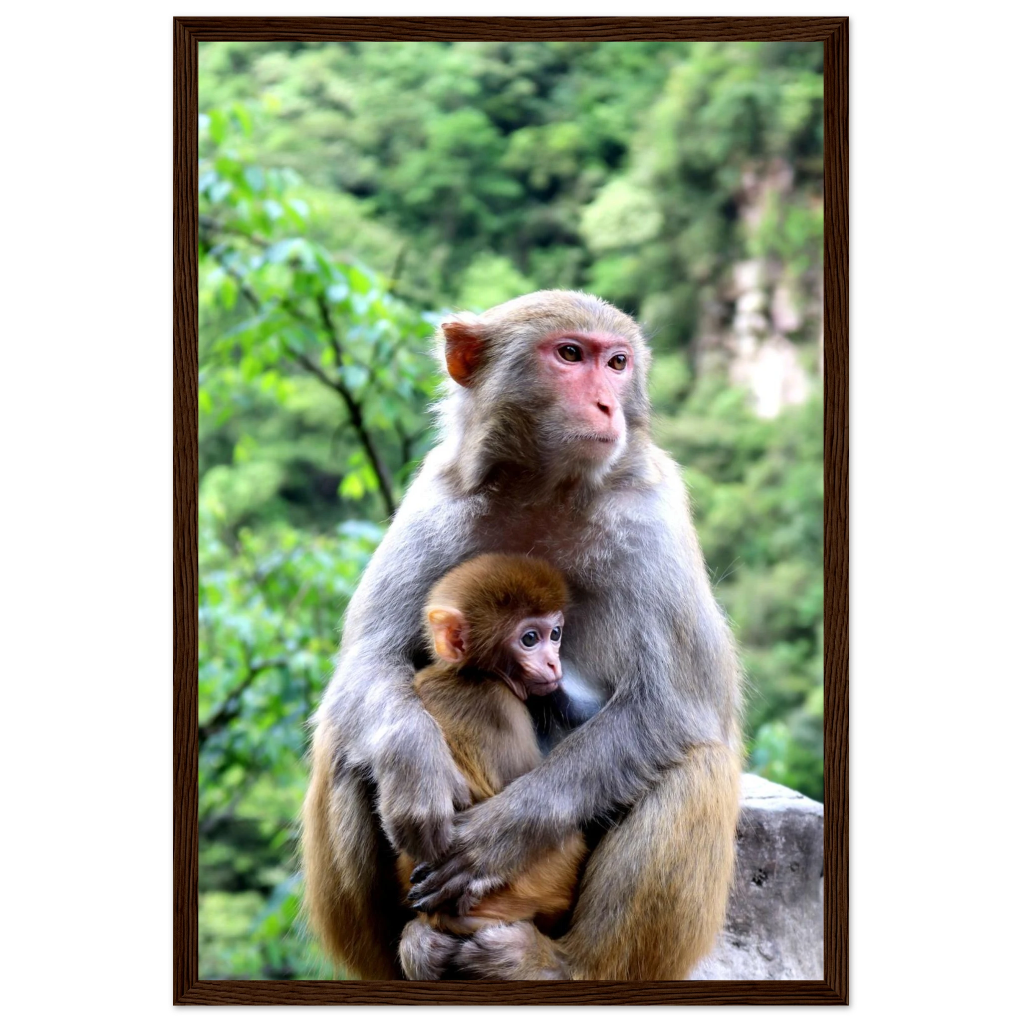 02b3d381-b661-4930-9ab0-02580eb6a287