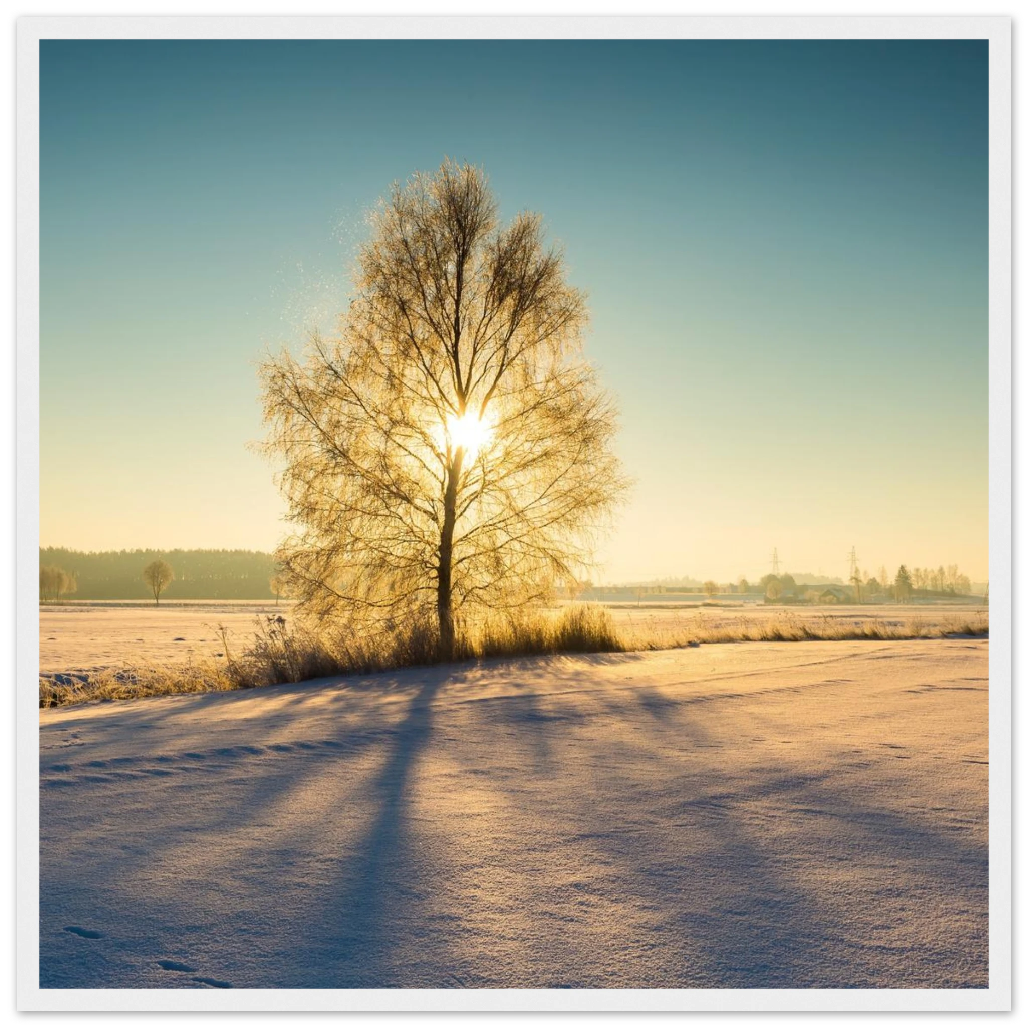 03008a6c-6ac0-4ac2-ad9d-706d77332708