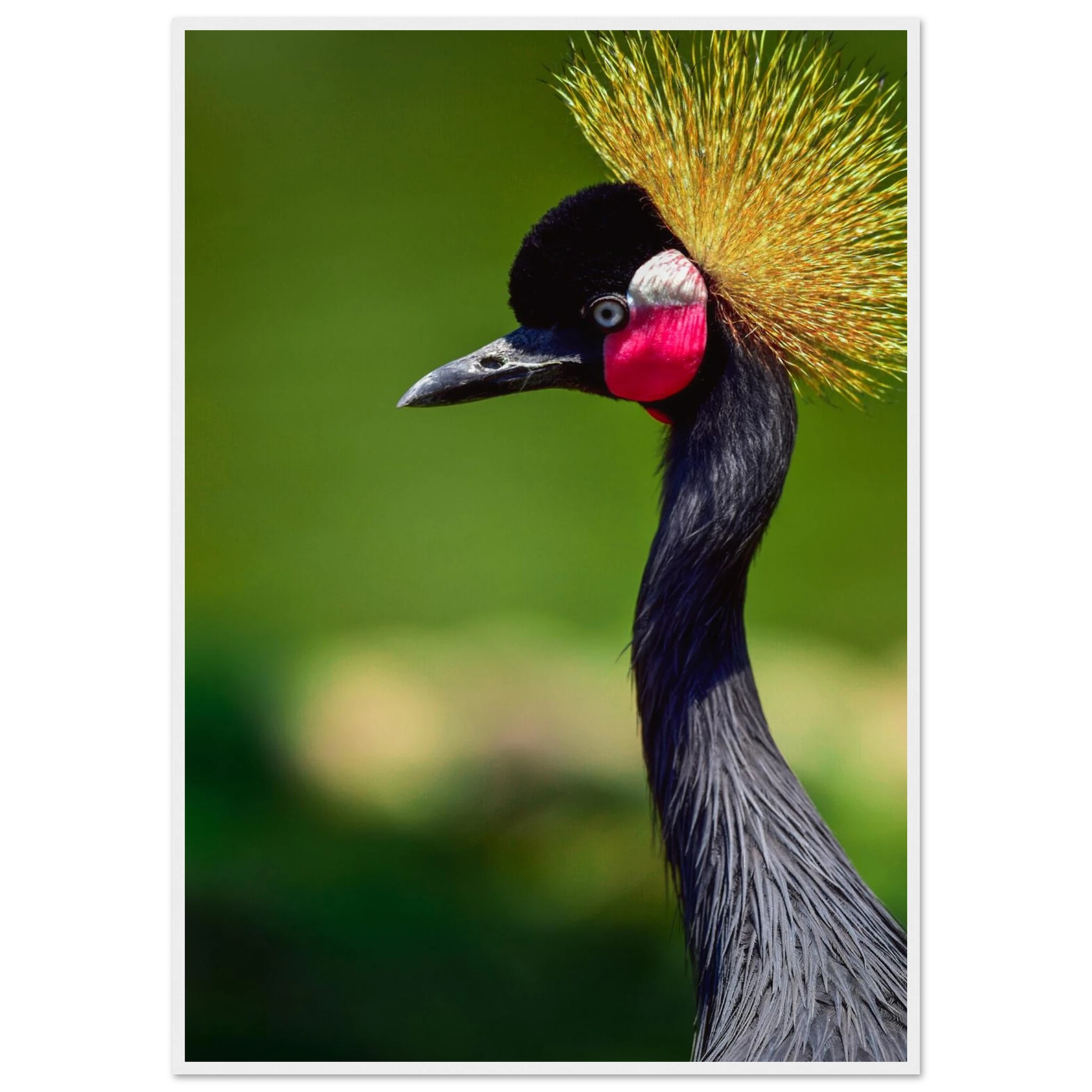 030aa34b-2d63-4fe3-a457-4923006d31b0