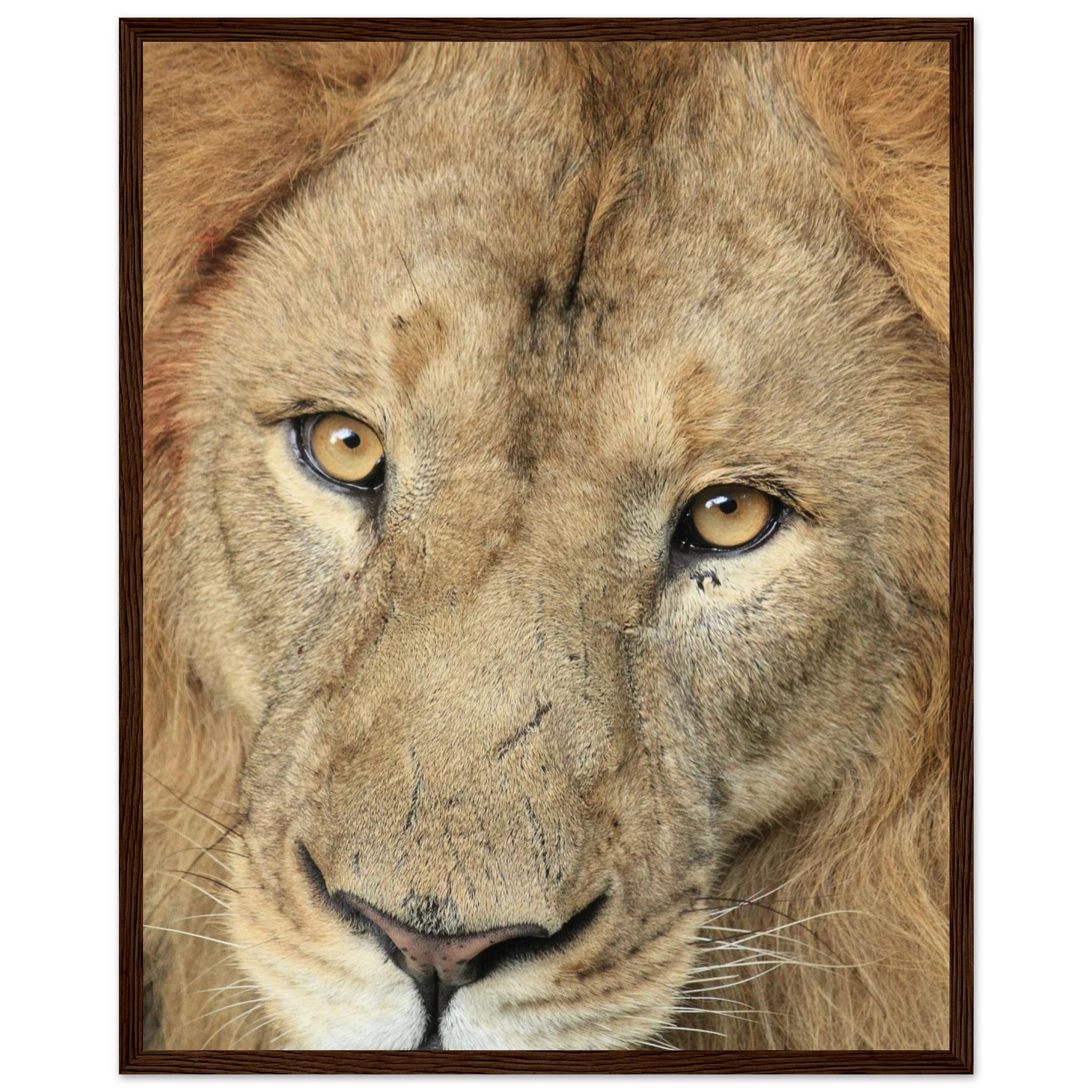 03237dcd-01e2-4c8d-9a3c-4a9d15570a3c