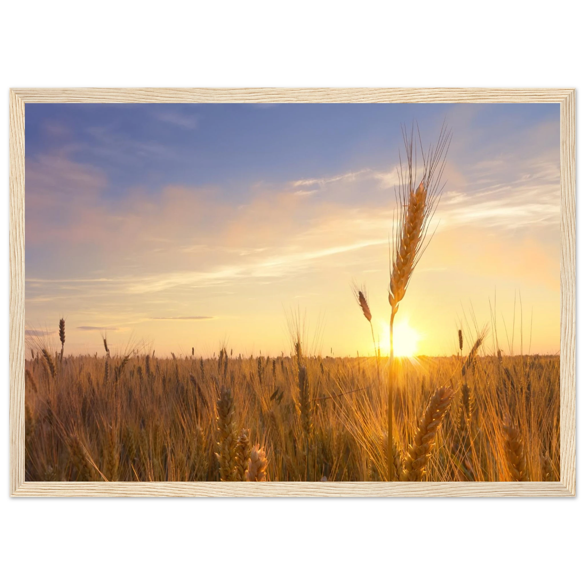 034561e7-bcce-4a3d-8698-7fa95529621c