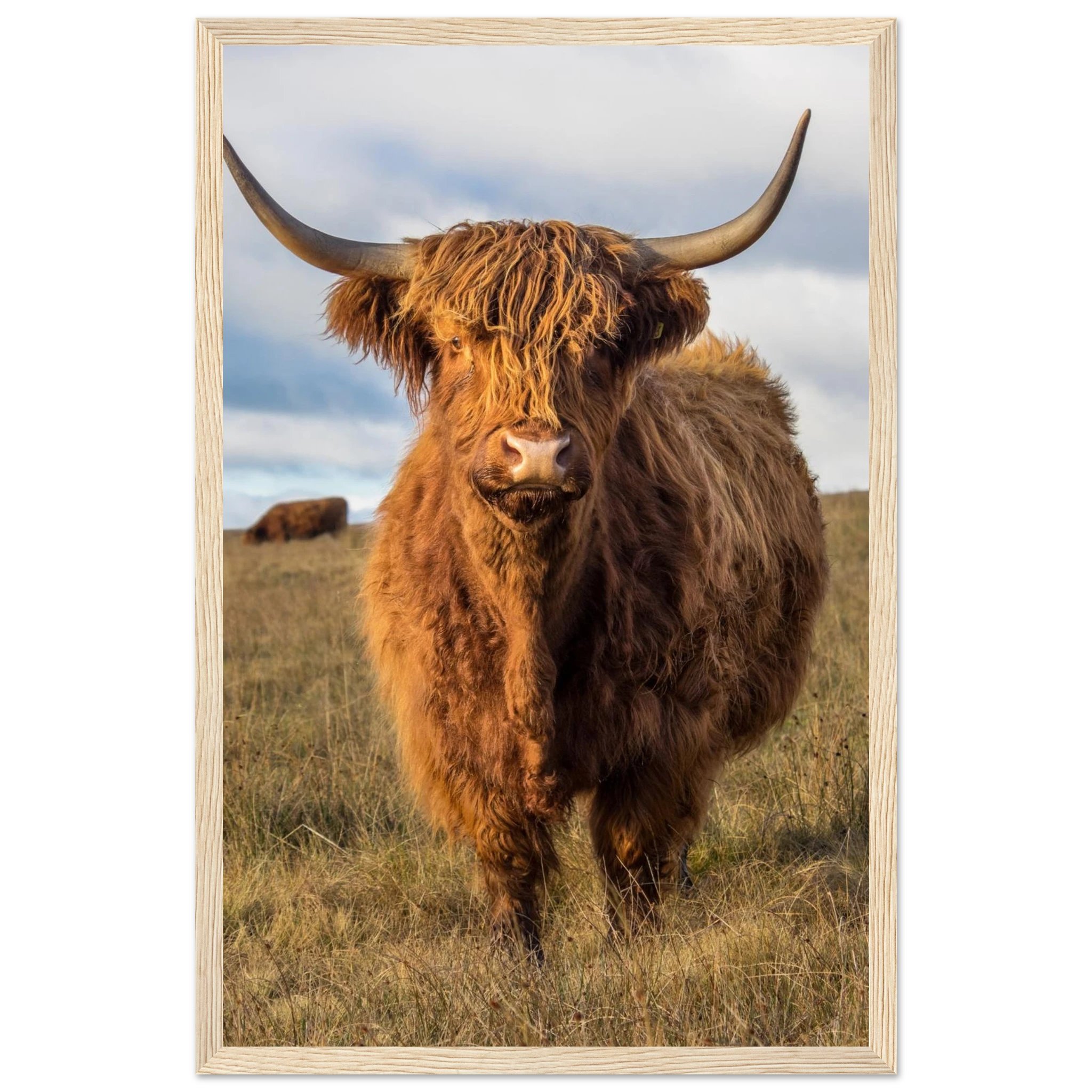 036b5410-a8f0-4669-b502-a8306e6b66cc