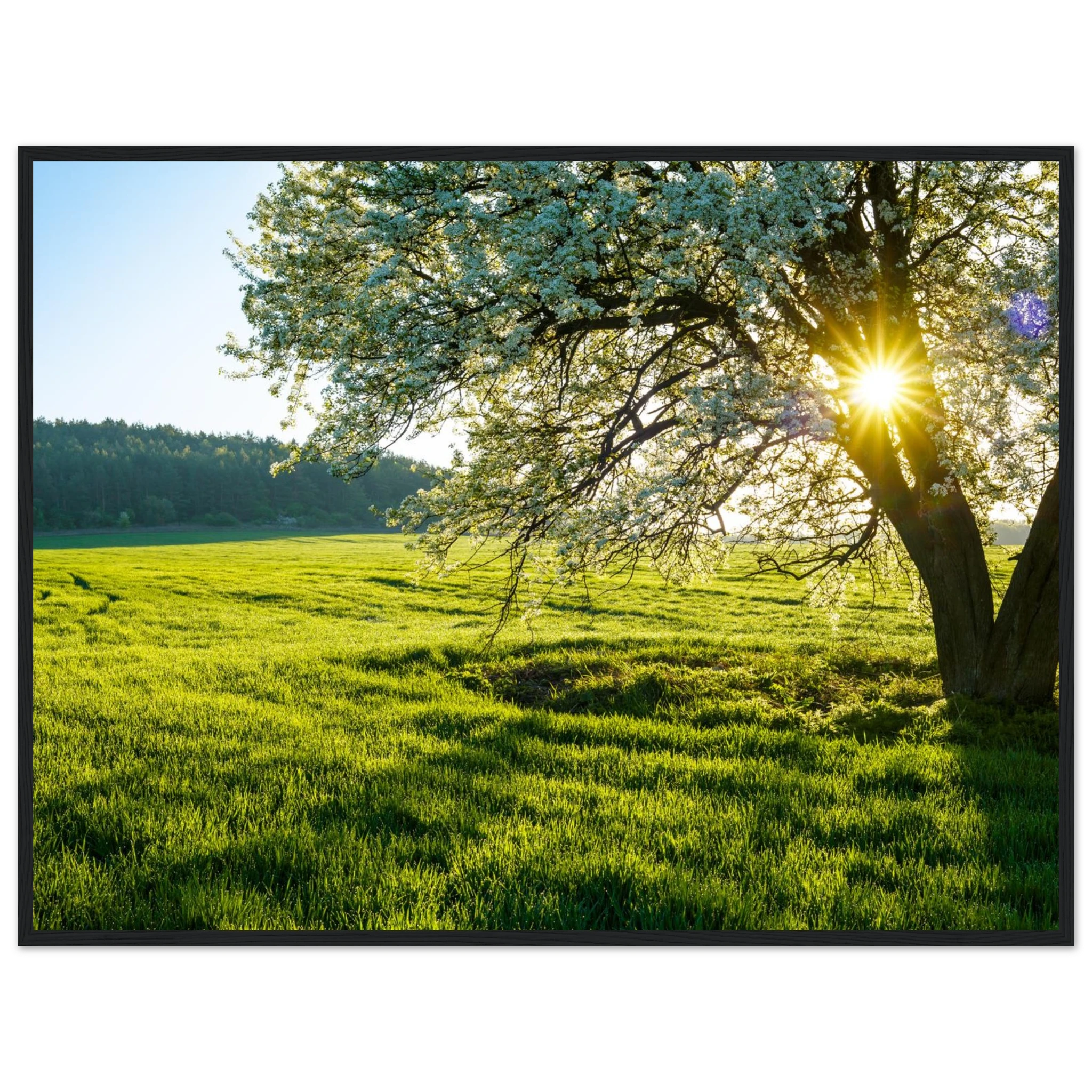 036c8a84-44d5-47f1-93e7-059c159baf58