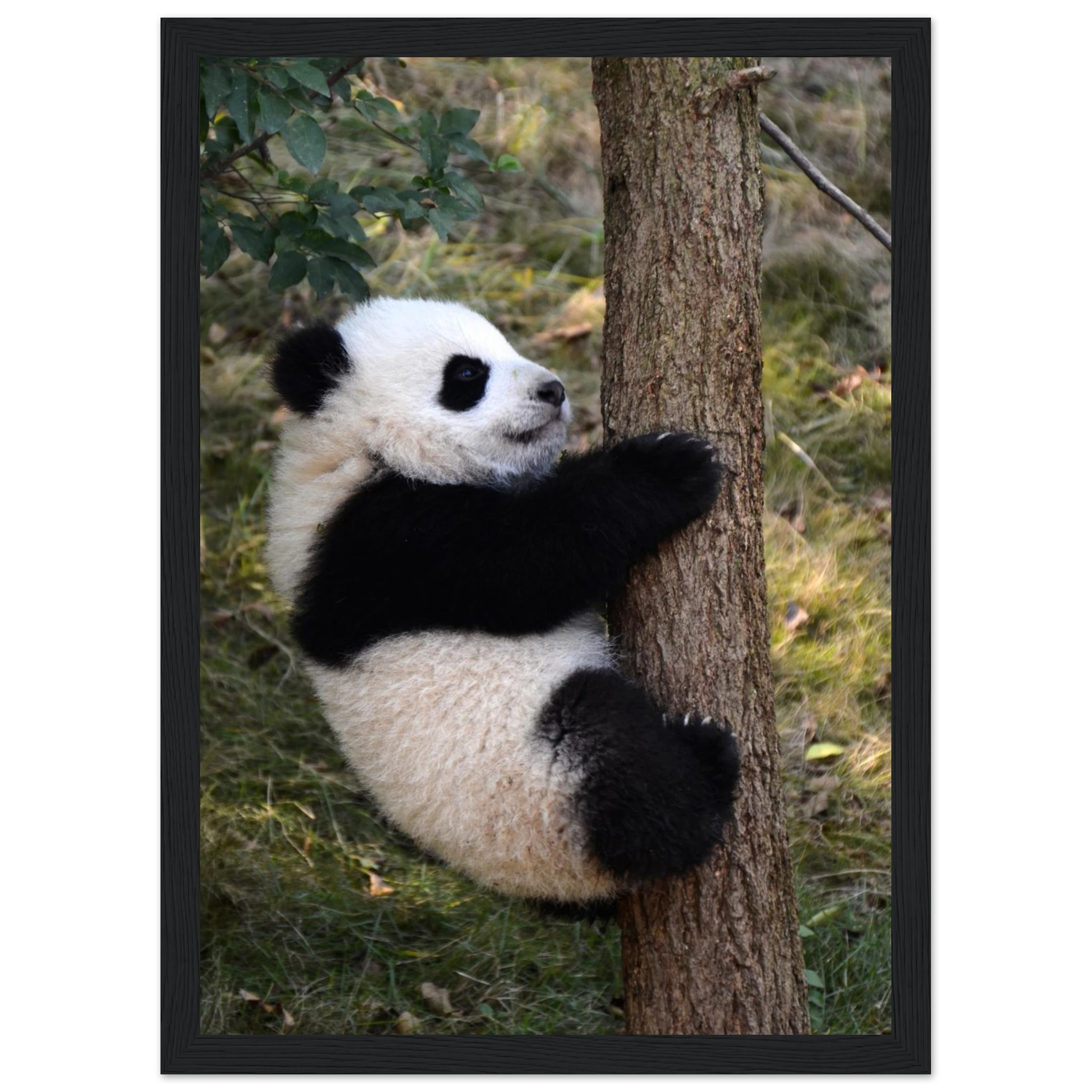 03735d89-f625-4569-94f9-f21382dc20ed