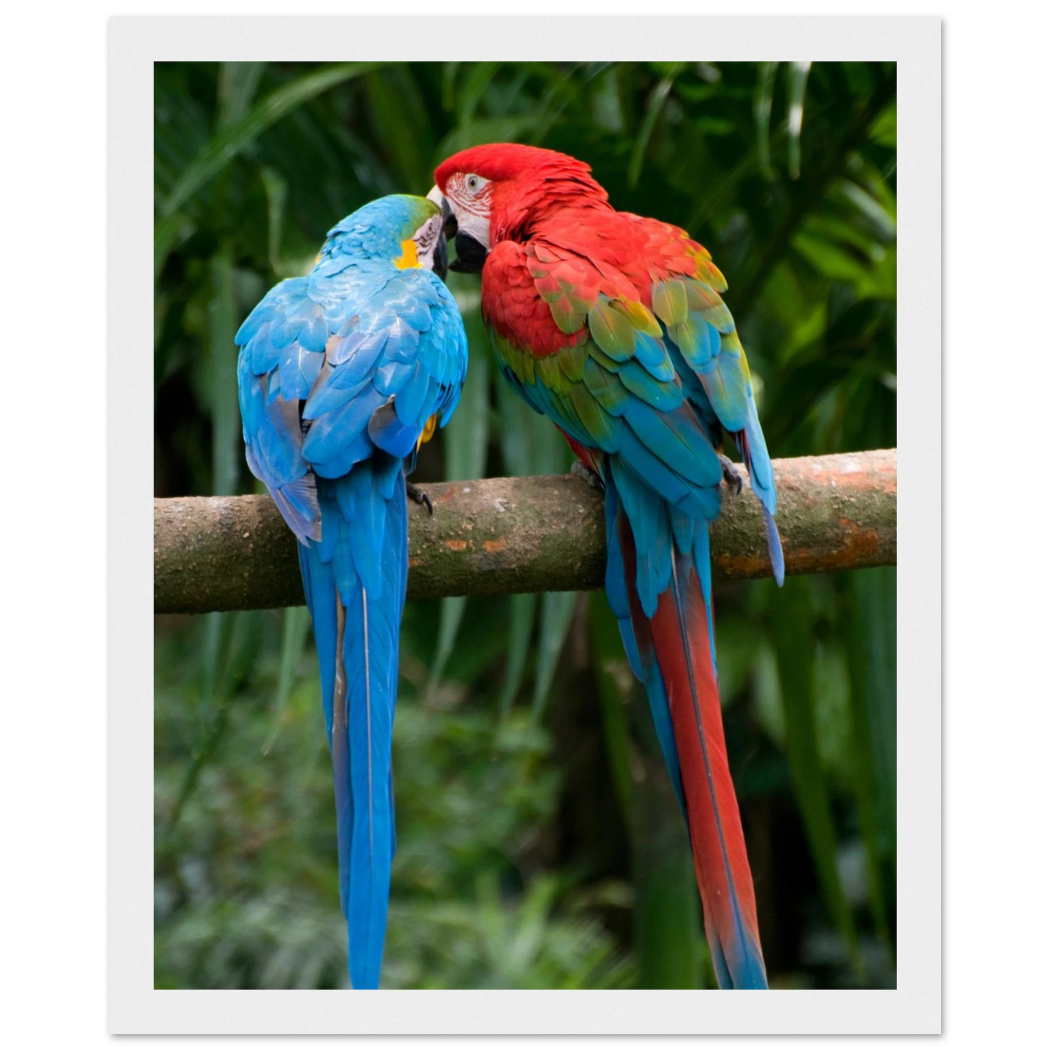 038cf52f-e4b9-49b8-b4ce-b9c917ff0dc5