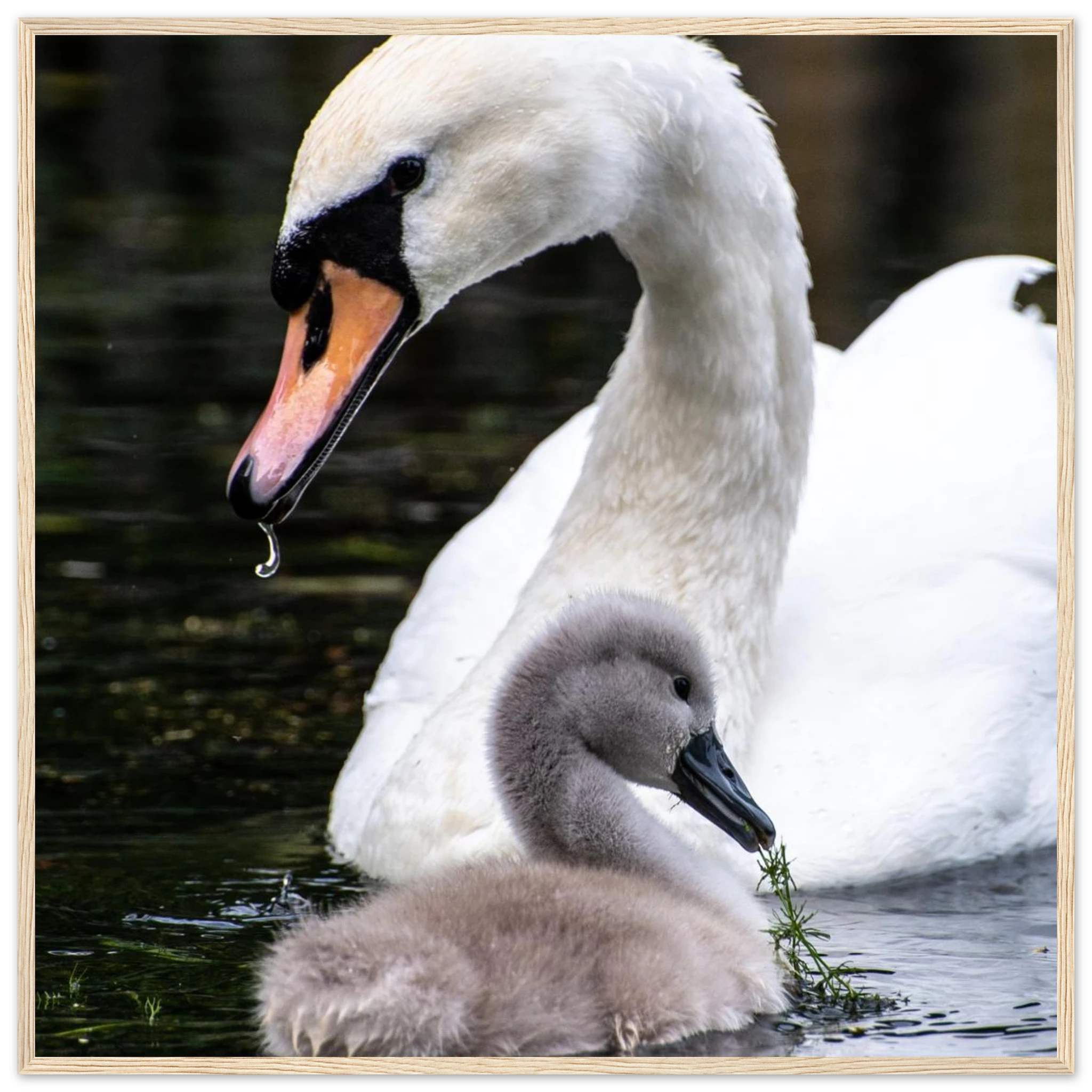 039b753b-f53b-4f4d-a18f-33e77e57fc91