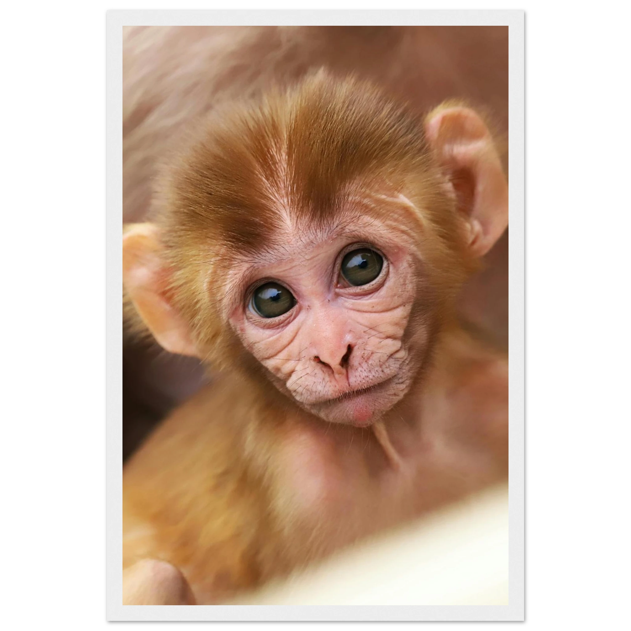 03a453fd-8f37-4ffd-ba4b-9f087947a393